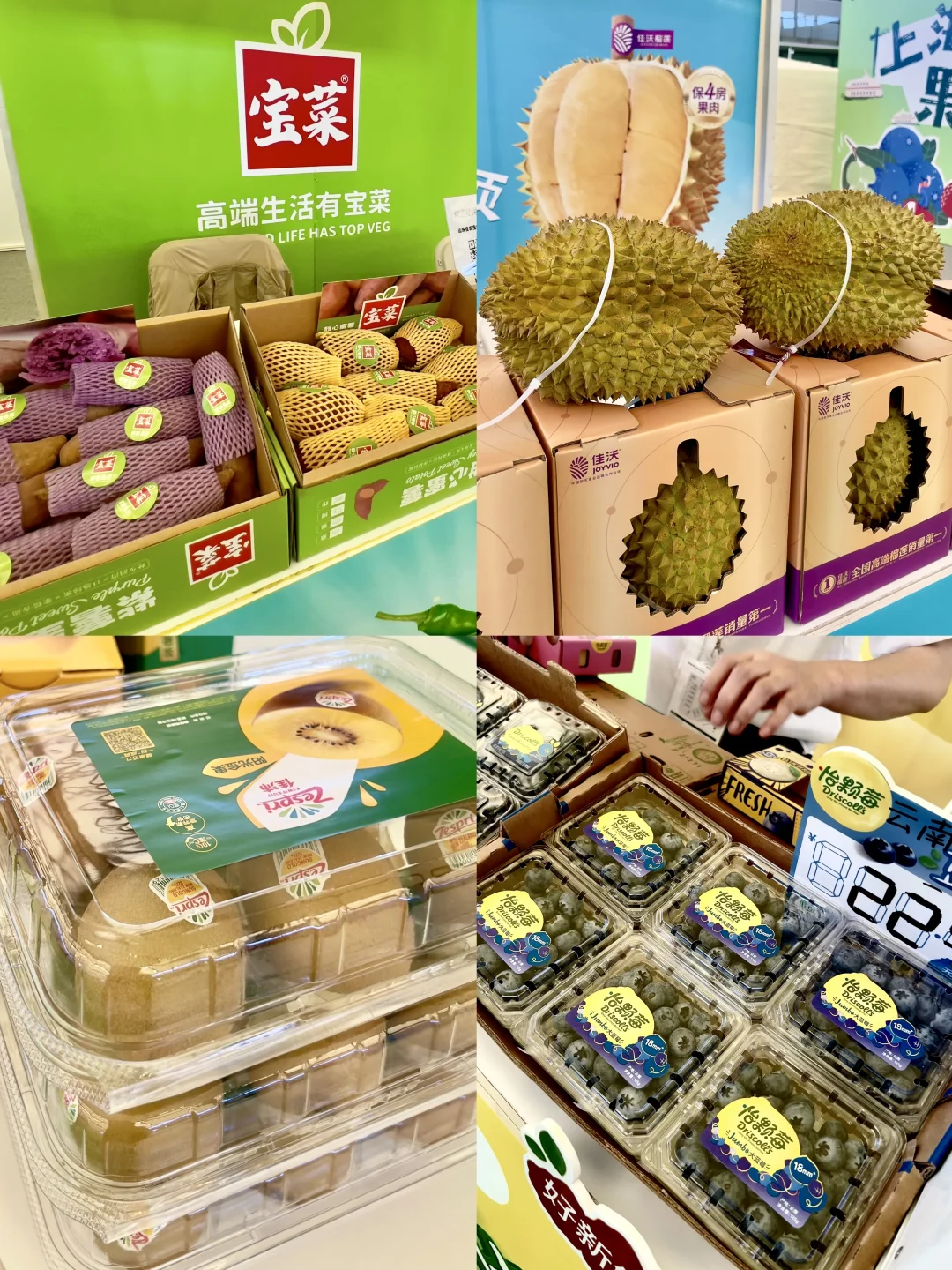 2025中国国际水果展，实现水果自由