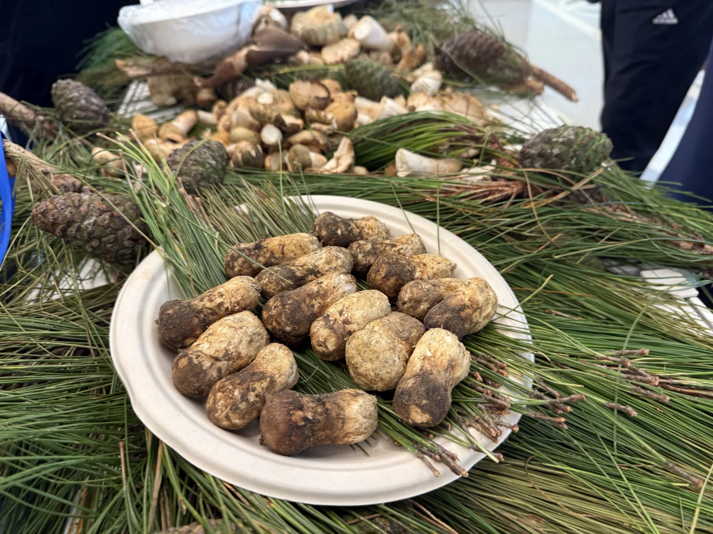 参观：上海对口地区特色产品展销会（一）