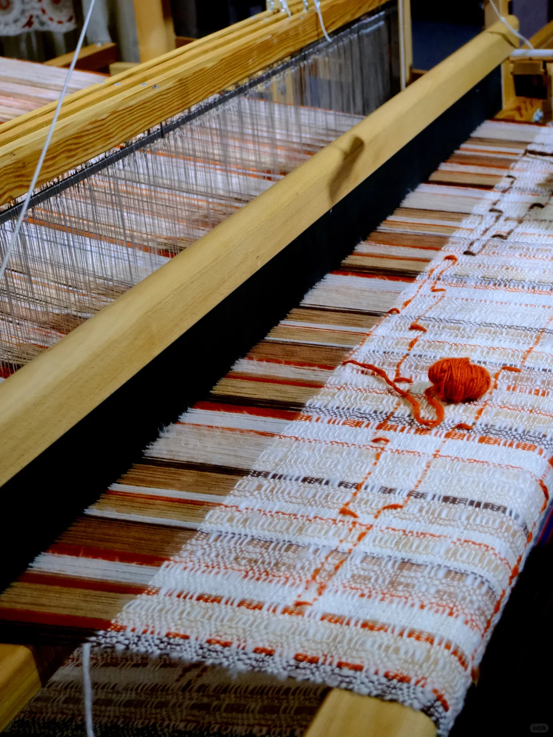 去了对口食品展销会却没拍食品的原因……