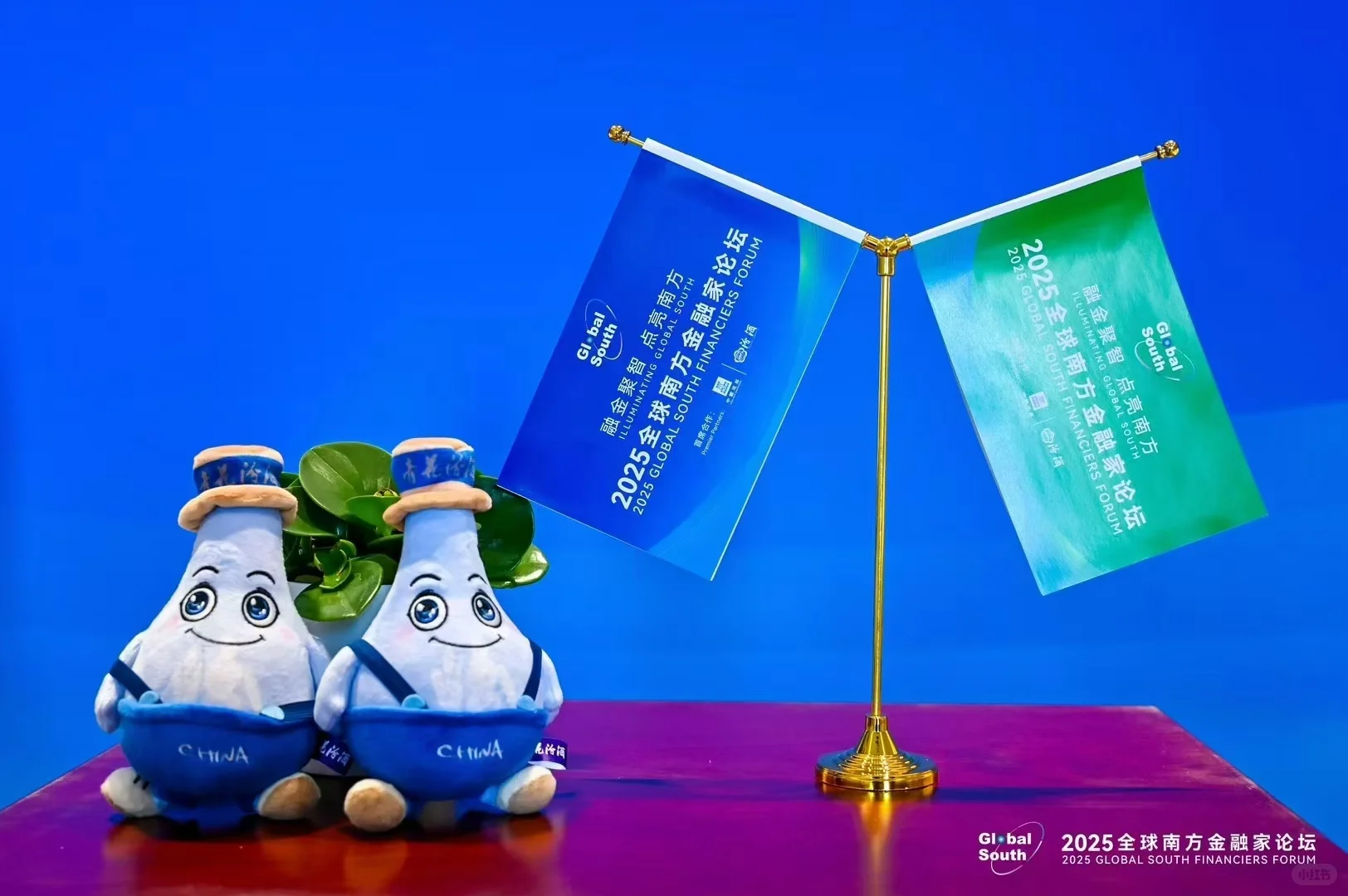 2025全球南方金融家论坛