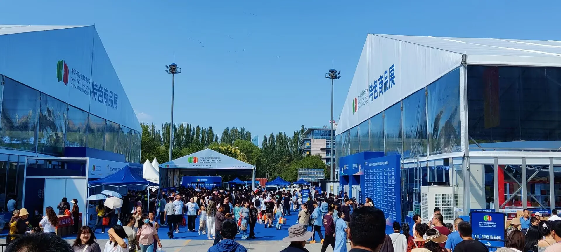 中阿博览会，老百姓能赶的精装版“大集”