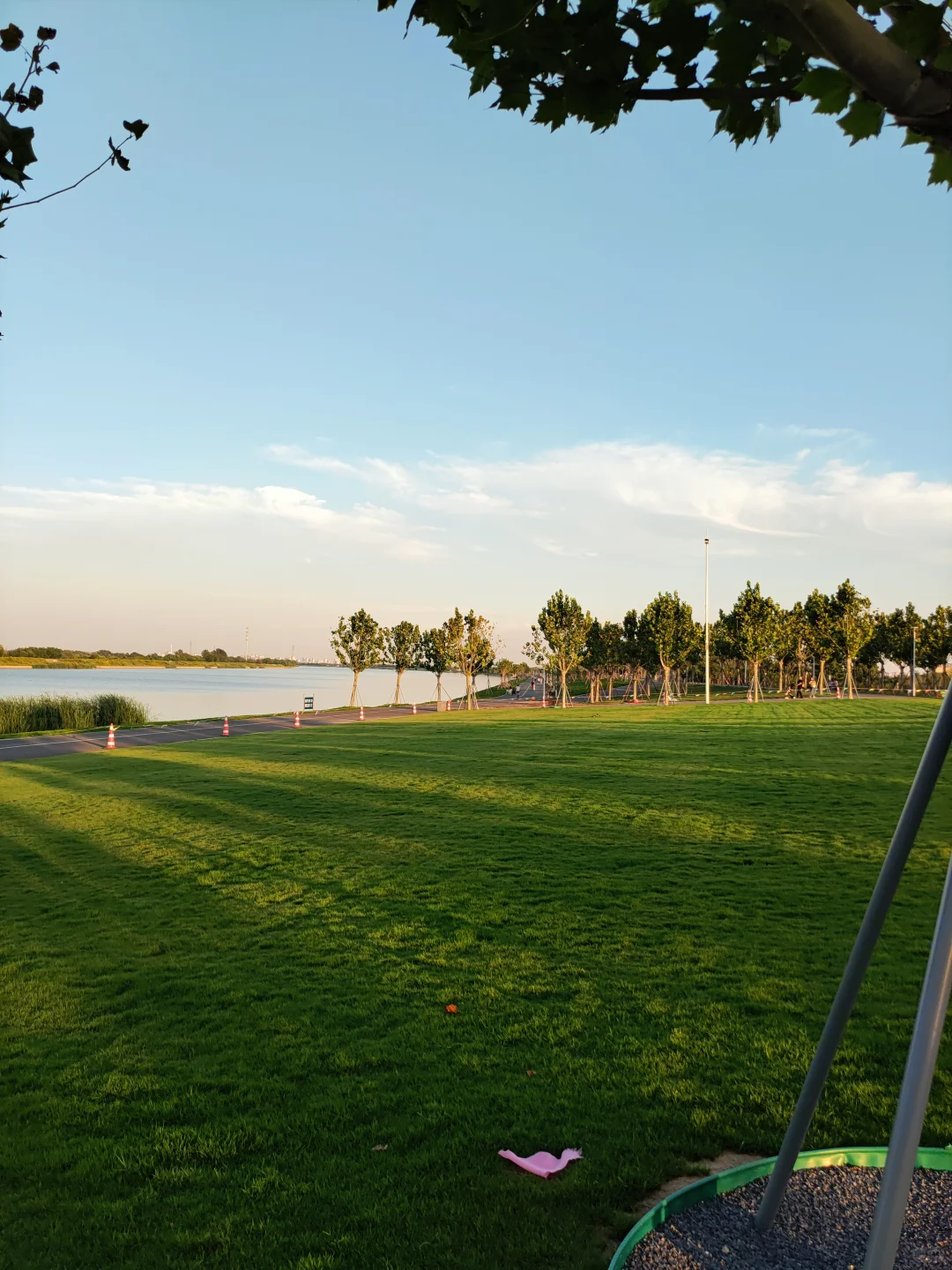 ?海河边的秘密花园！国家会展中心旁的遛