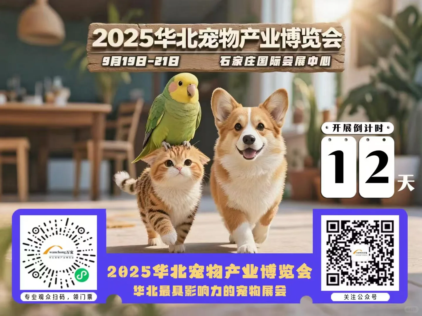 9.19日～21日石家庄宠物展！！！