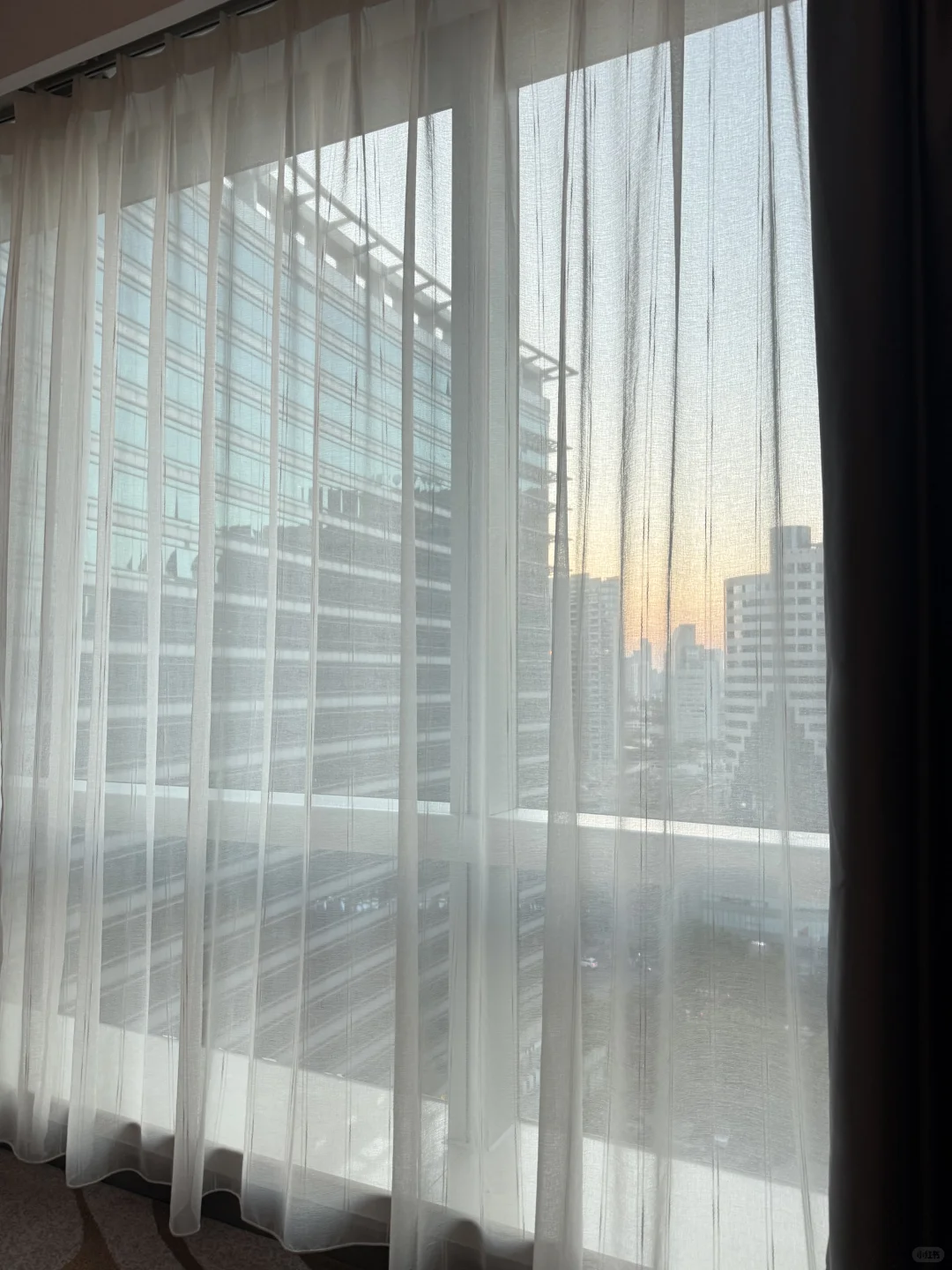44岁单身，无情债，无负债，无野心