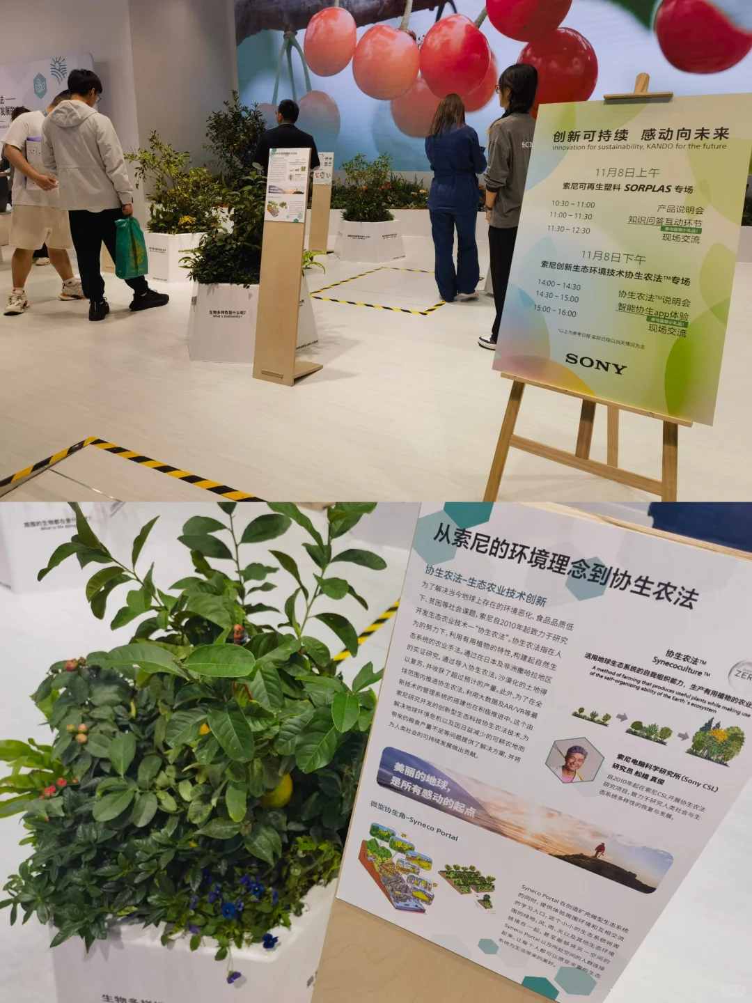 【展览】第六届中国国际进口博览会（一）