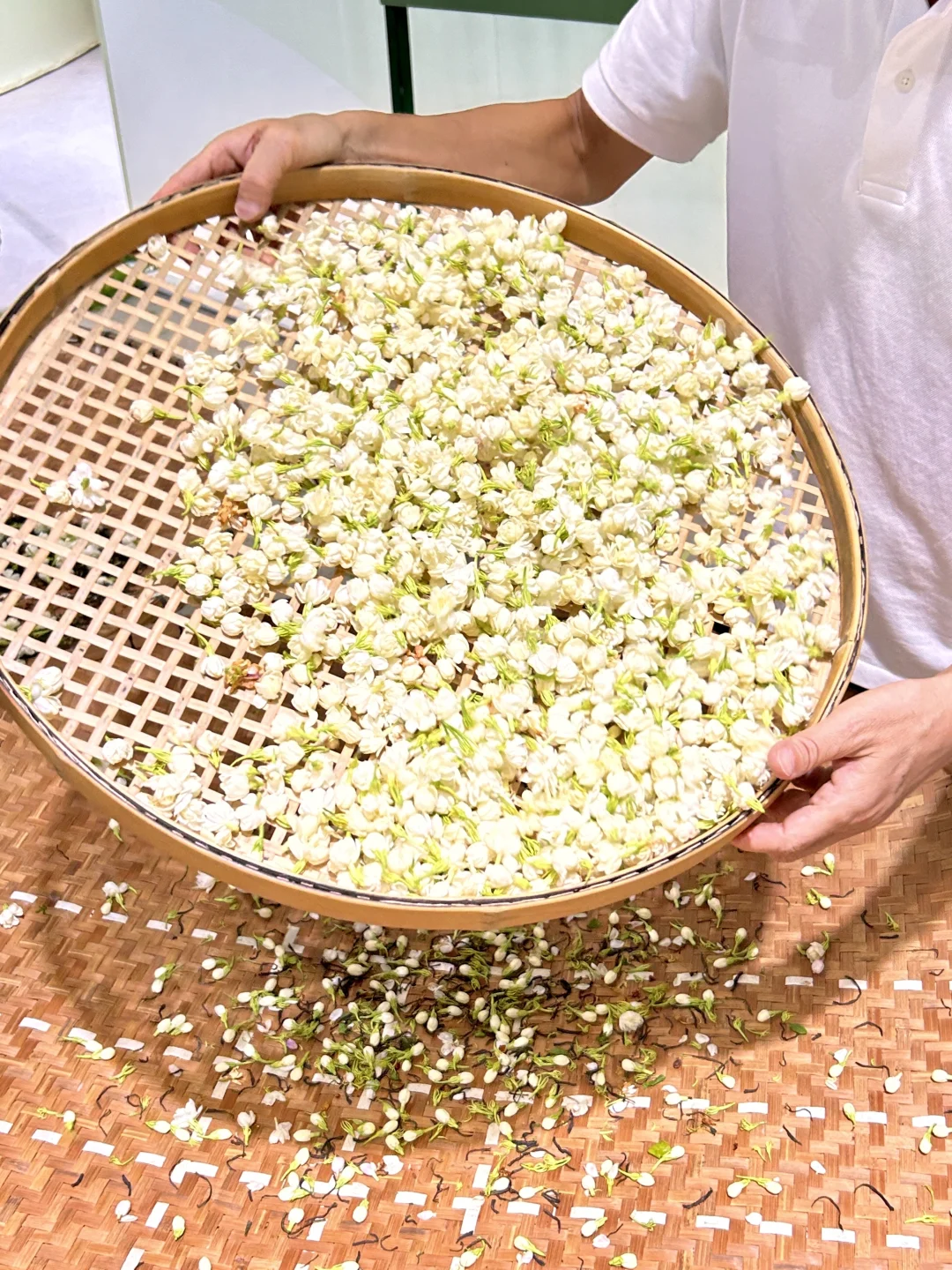 福州新展！来茉莉花茶文化节邂逅茉莉茶香?