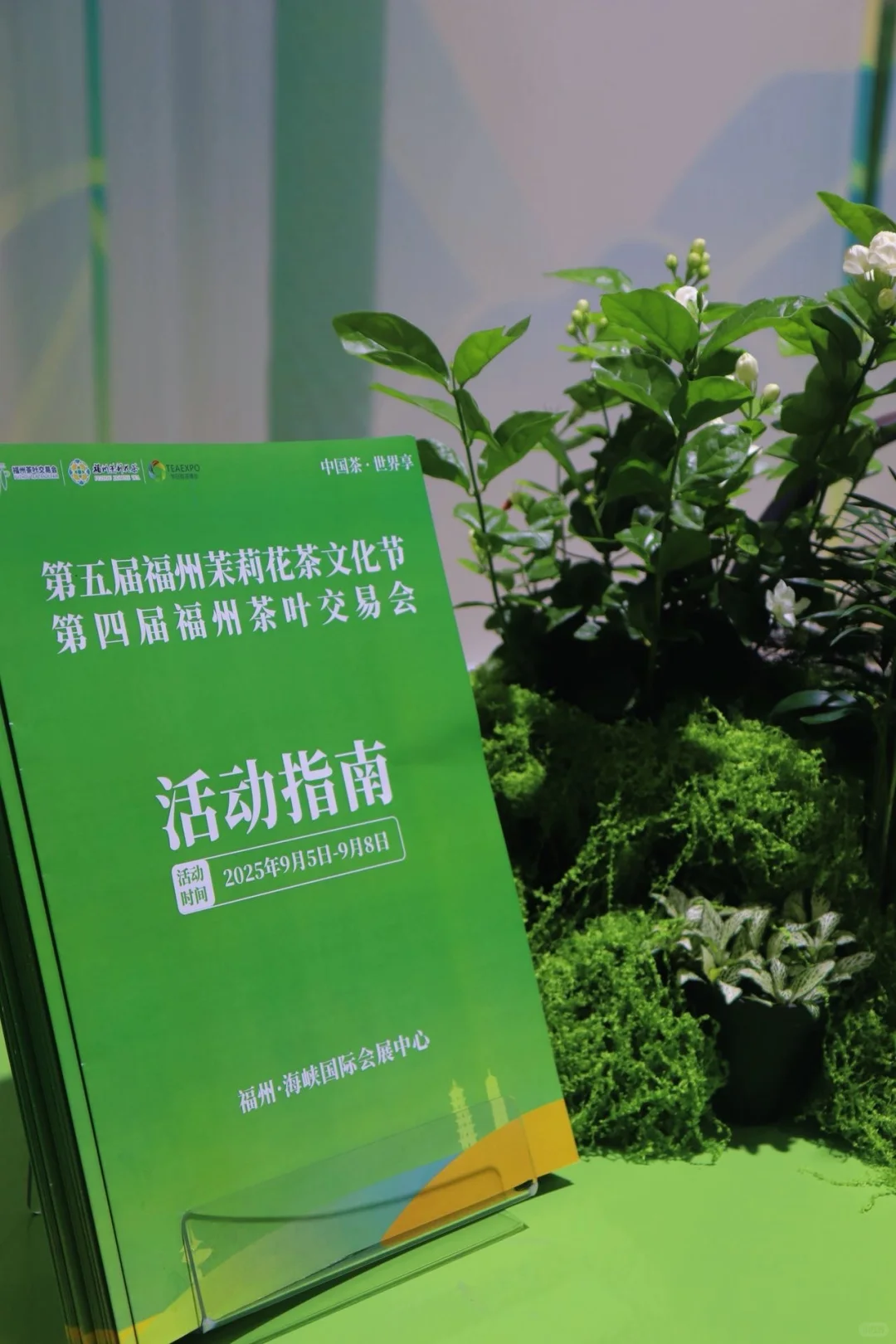 福州茶友疯冲！茉莉茶香里的沉浸式文化节?