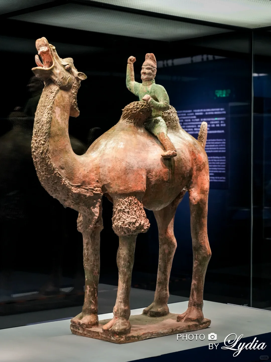 国博新展，2件195?+超多重磅展品，必看！