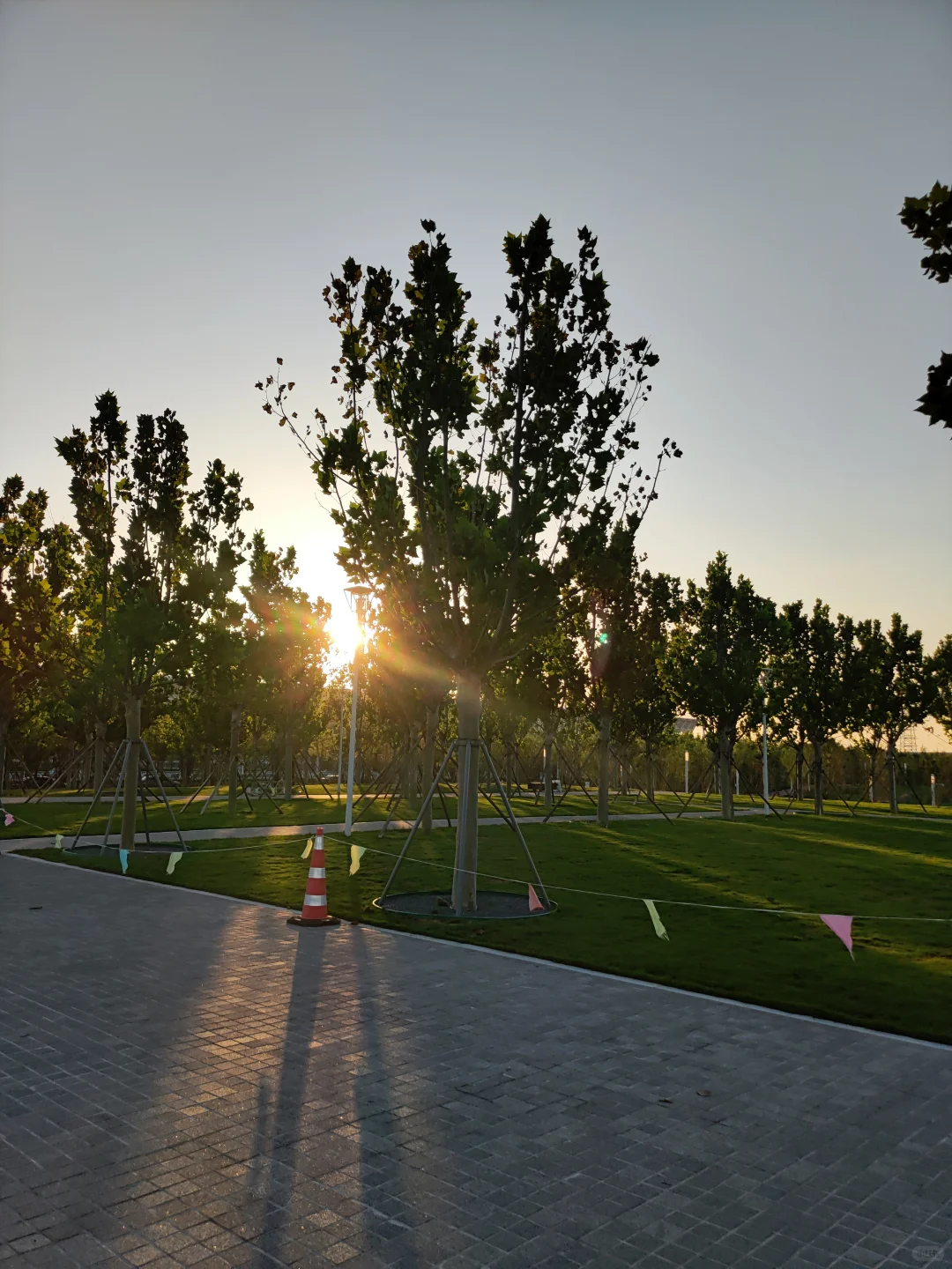 ?海河边的秘密花园！国家会展中心旁的遛