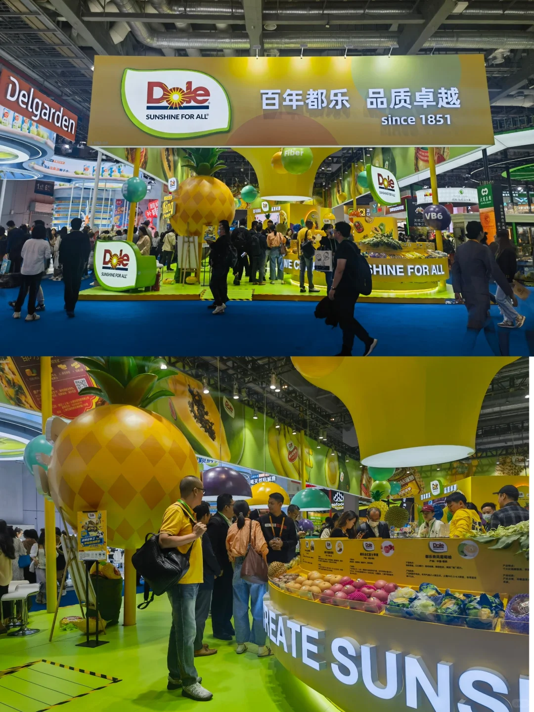 【展览】第六届中国国际进口博览会（一）