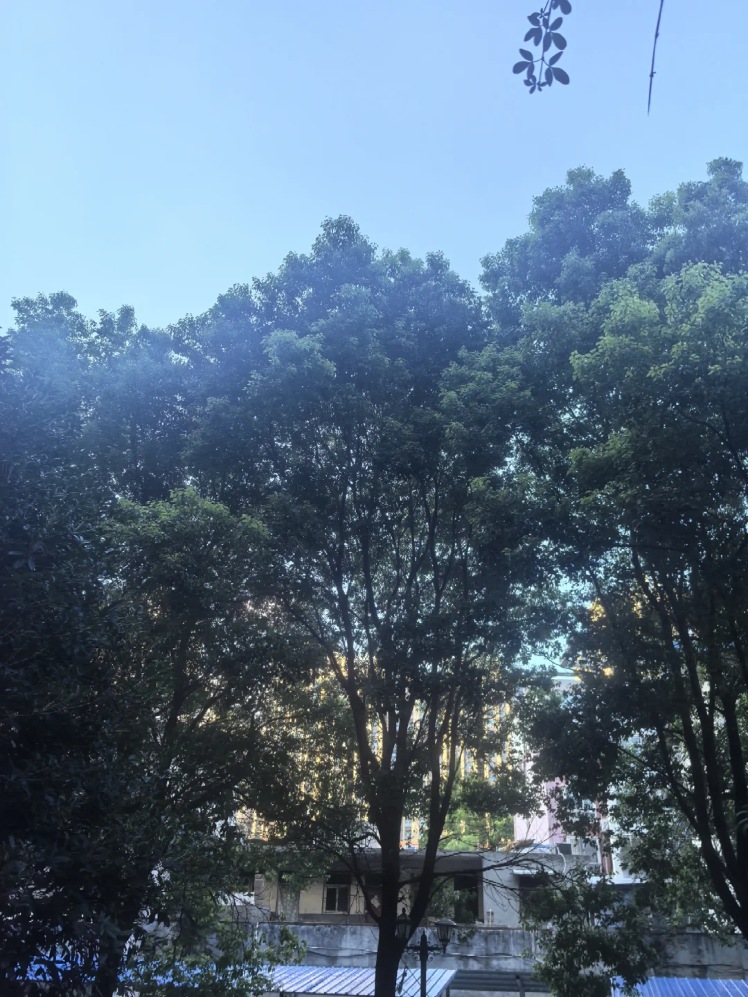 40+ 单身小阿姨 还能入你的眼吗