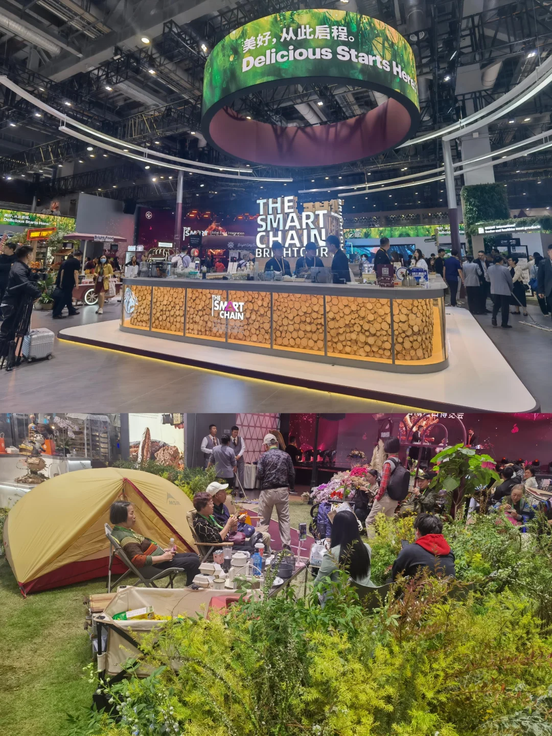 【展览】第六届中国国际进口博览会（一）