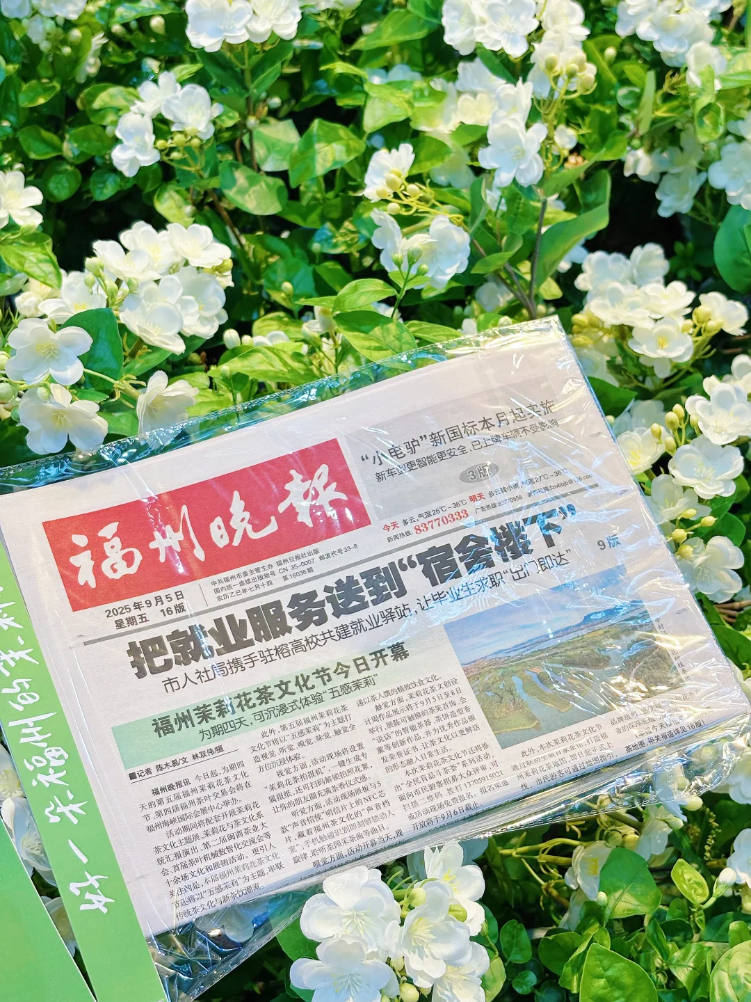 来福州茶交会!!品茶香+互动超绝体验！