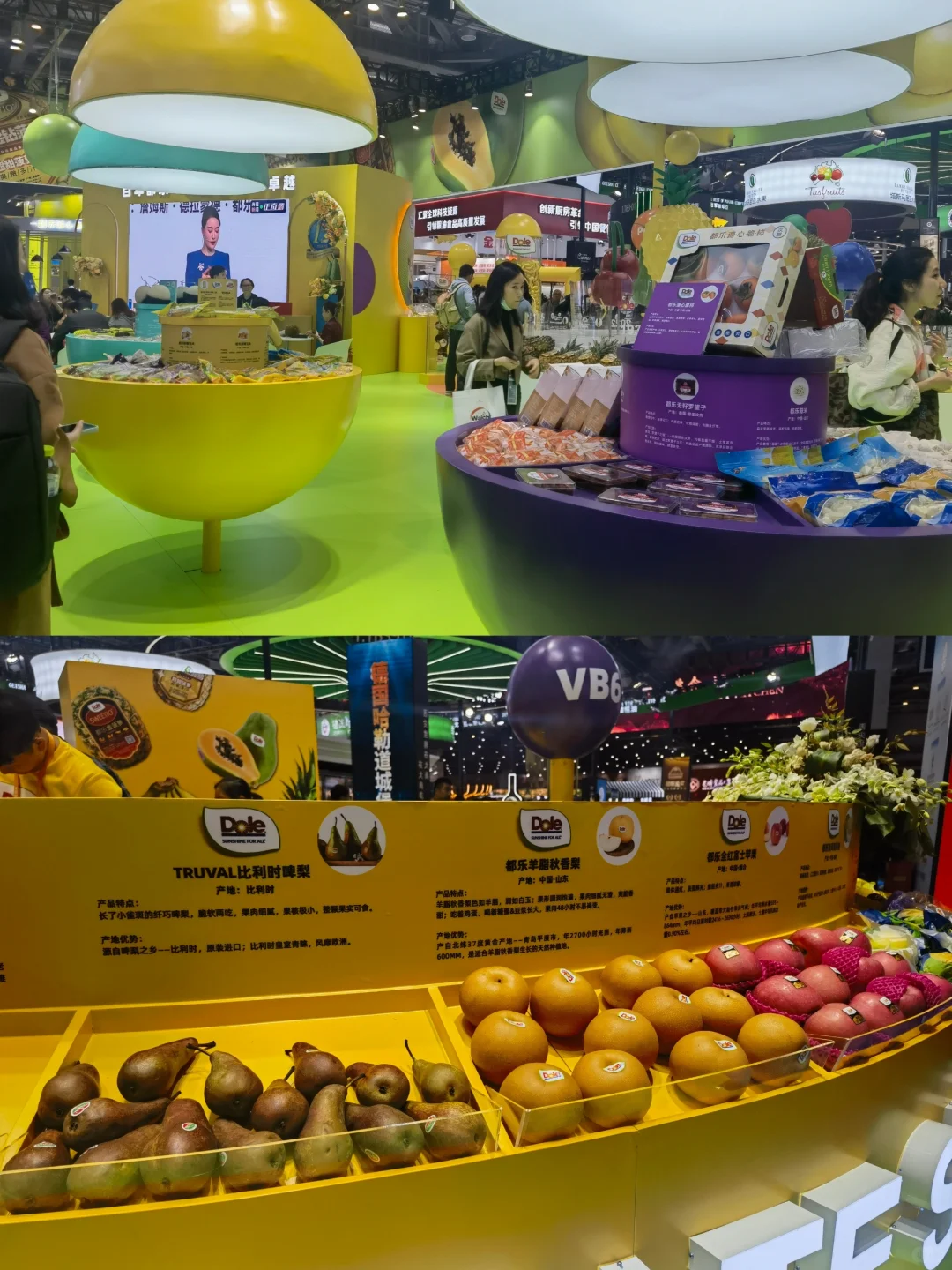 【展览】第六届中国国际进口博览会（一）