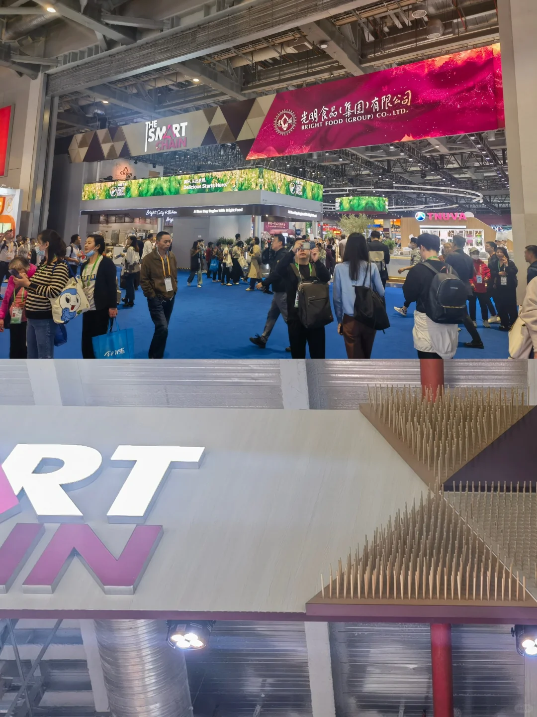 【展览】第六届中国国际进口博览会（一）