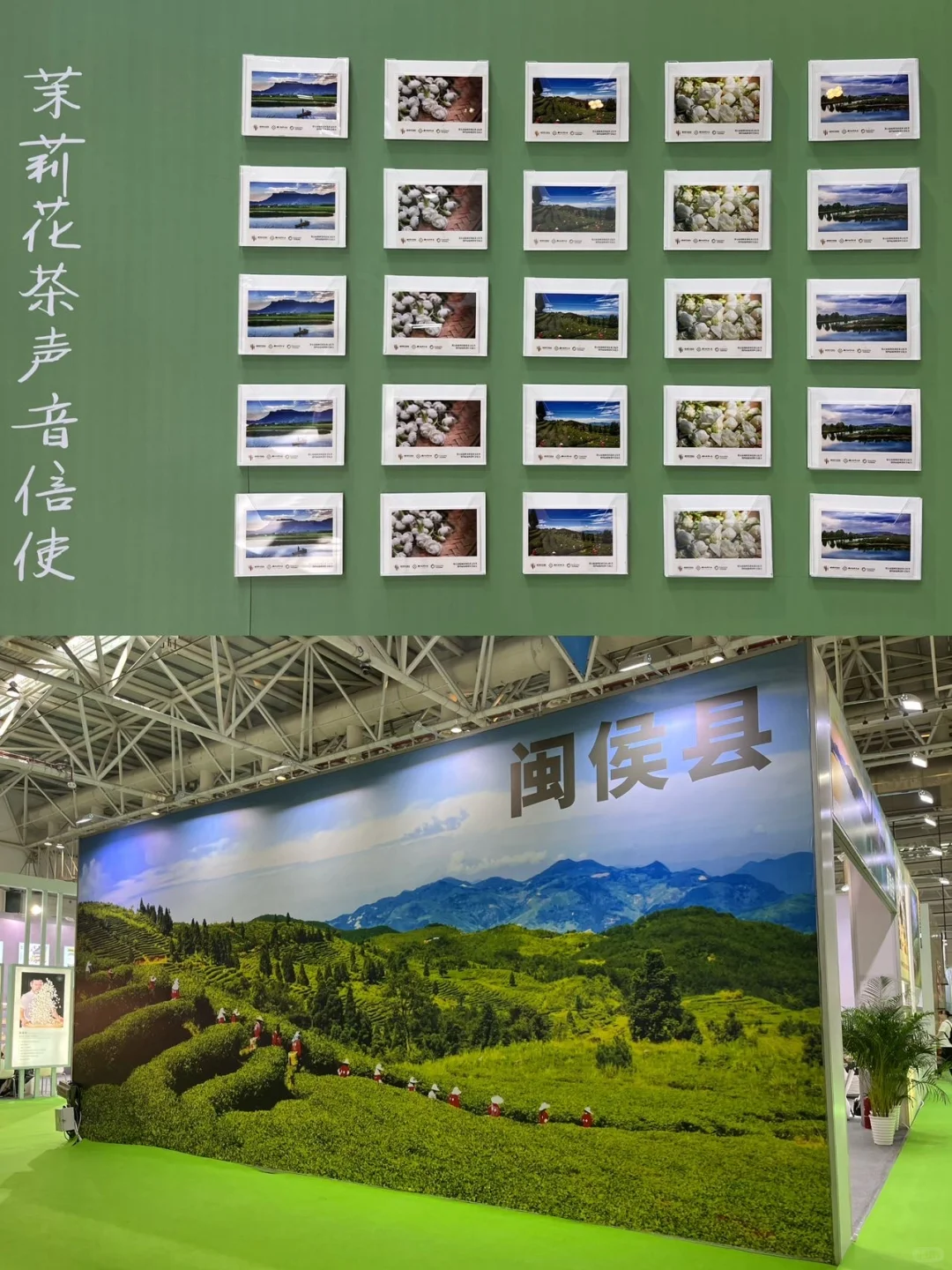 福州茶友疯冲！茉莉茶香里的沉浸式文化节?