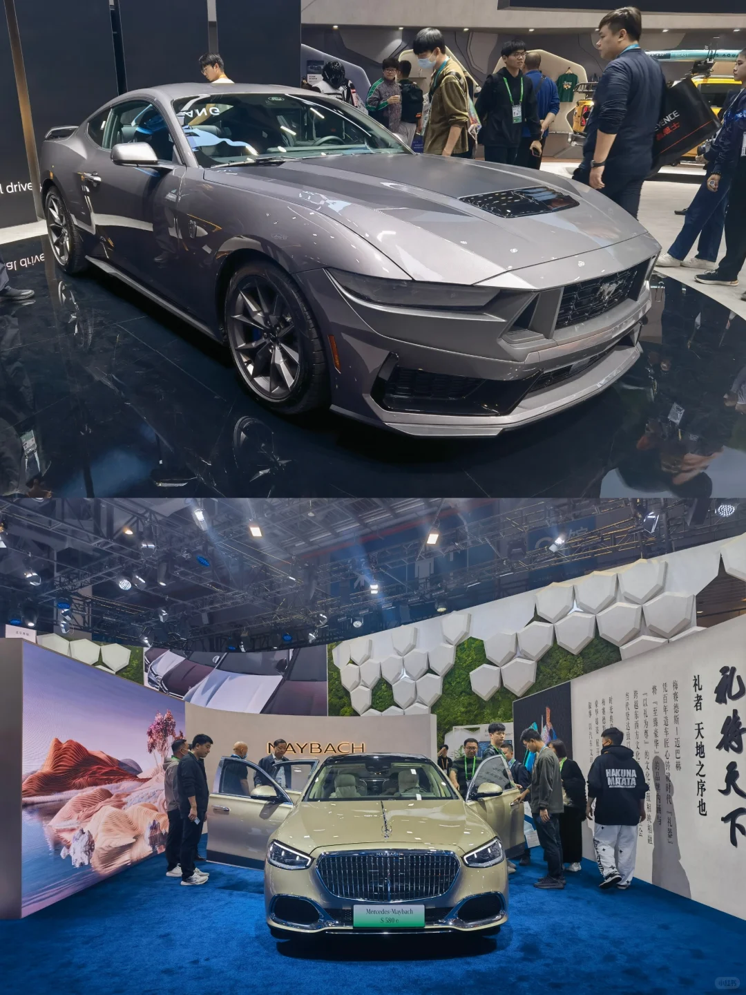 【展览】第六届中国国际进口博览会（一）