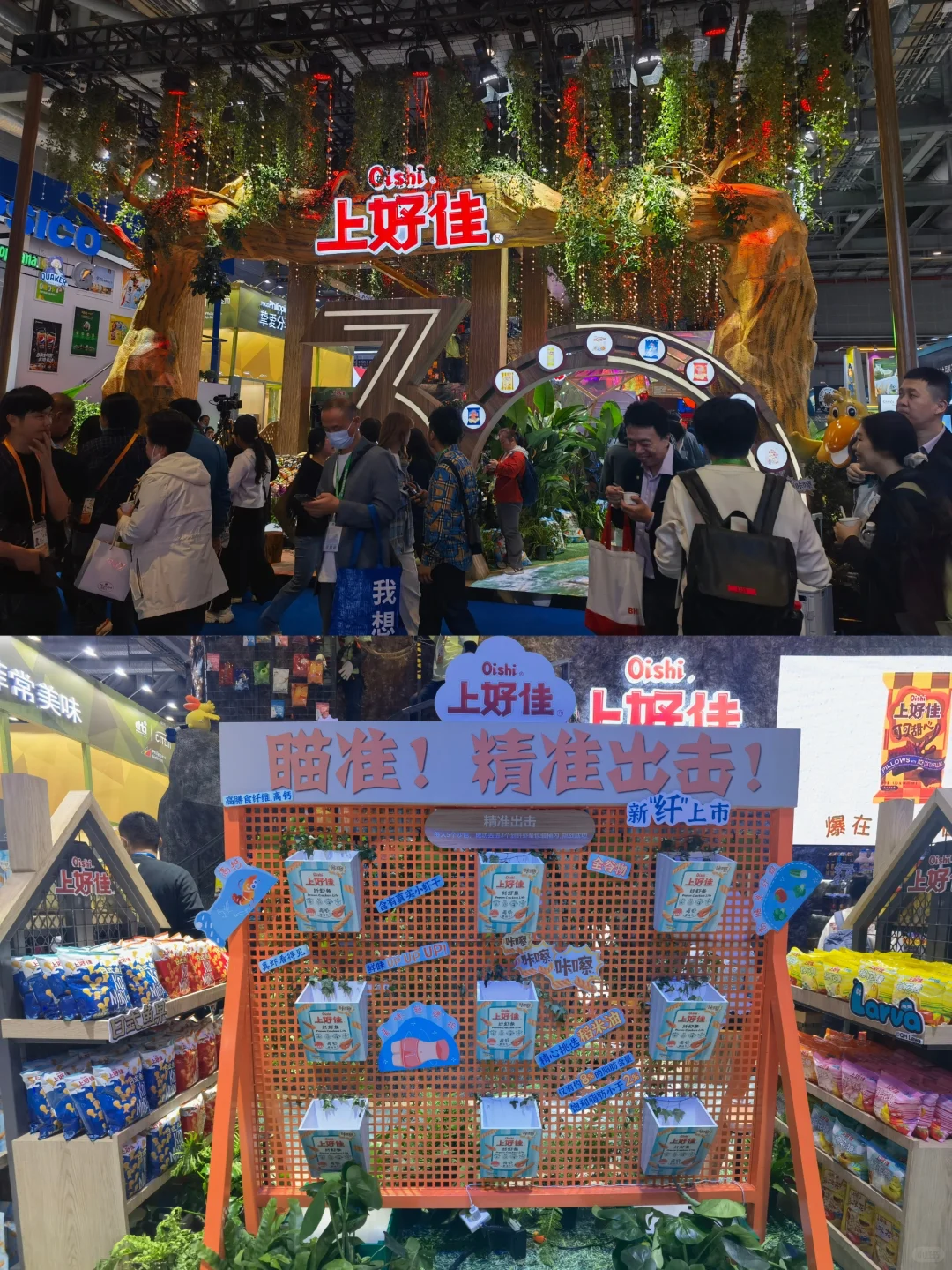 【展览】第六届中国国际进口博览会（一）