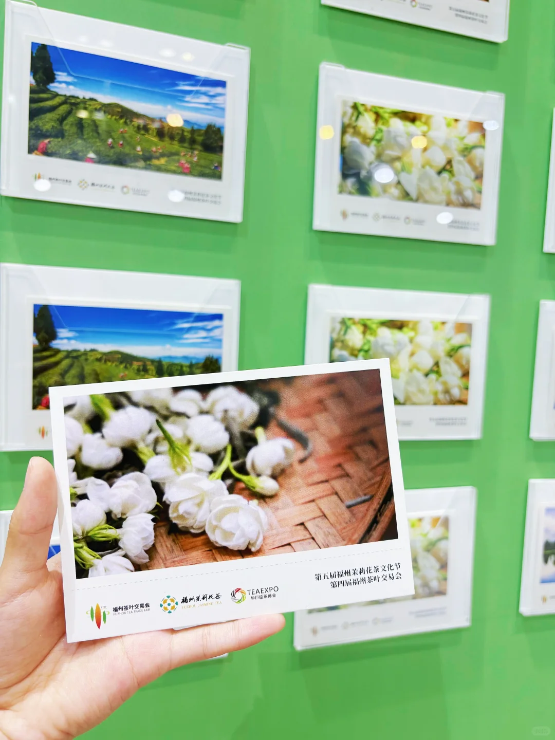 来福州茶交会!!品茶香+互动超绝体验！