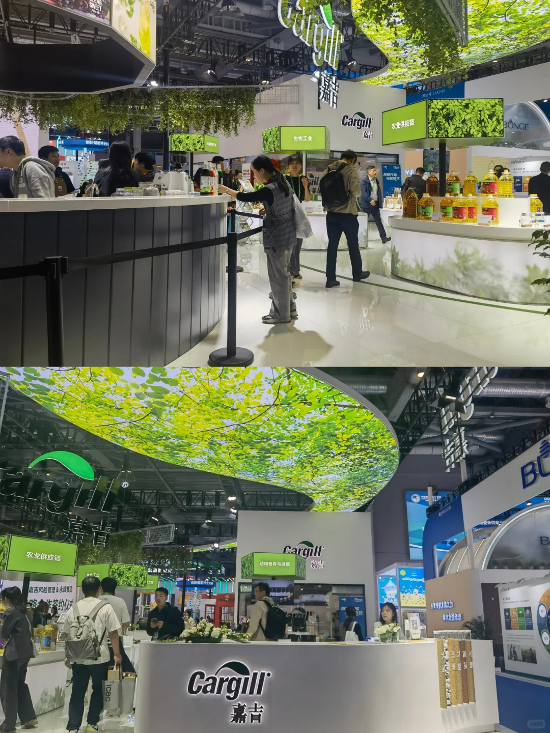 【展览】第六届中国国际进口博览会（一）