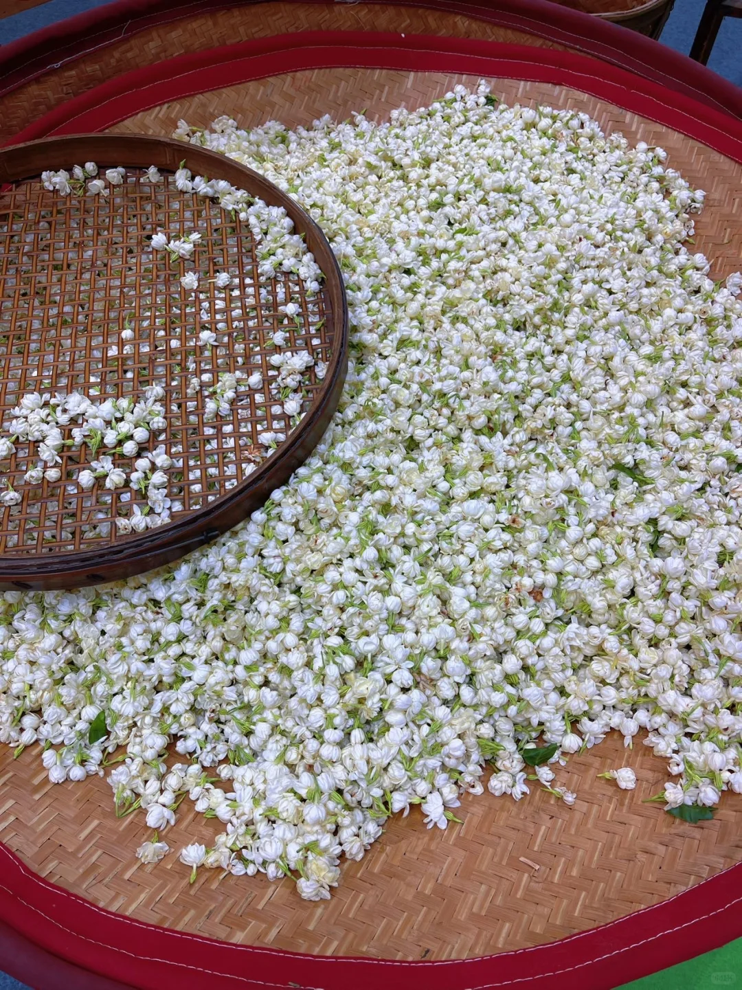 福州茶友疯冲！茉莉茶香里的沉浸式文化节?