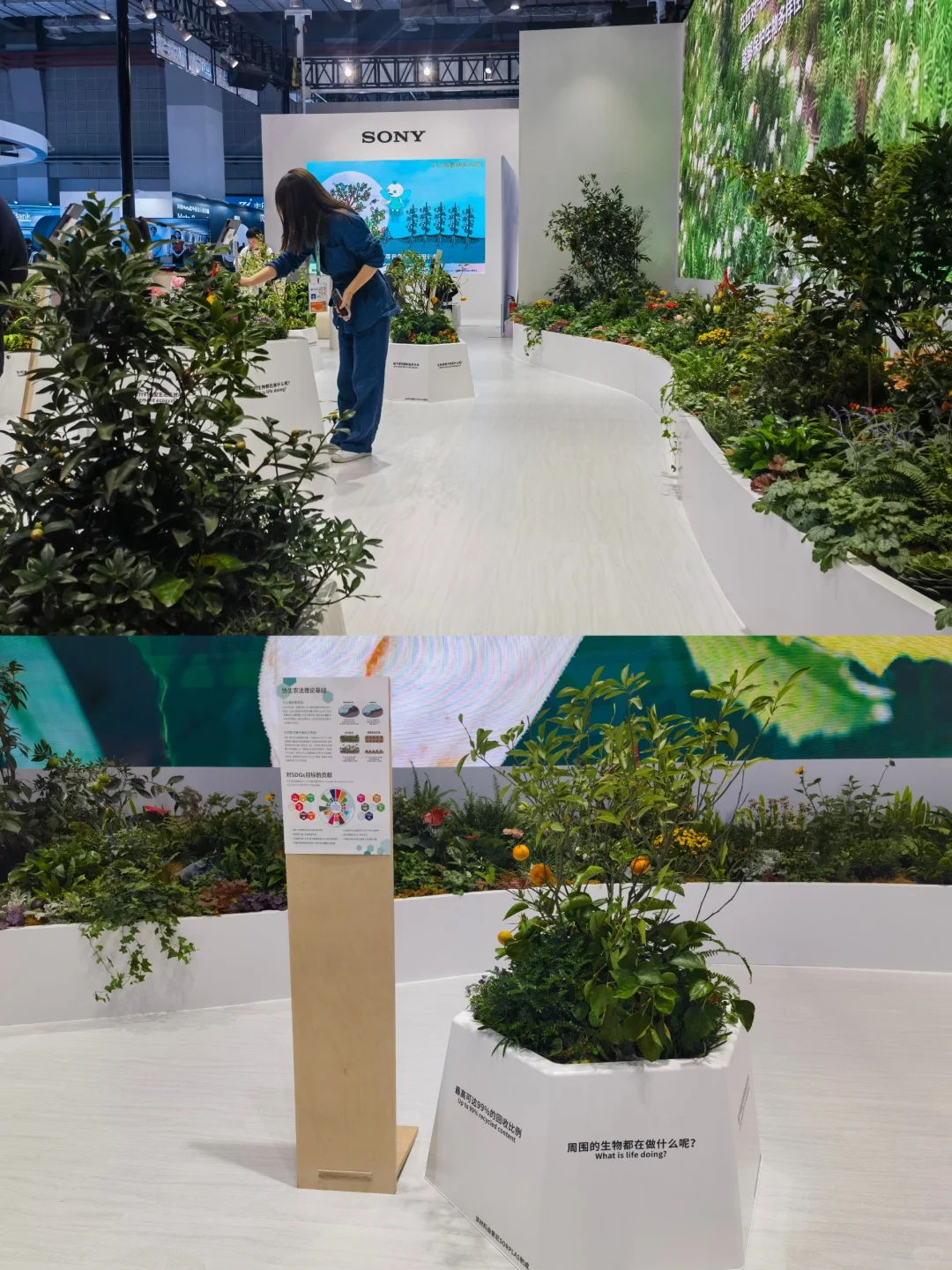 【展览】第六届中国国际进口博览会（一）