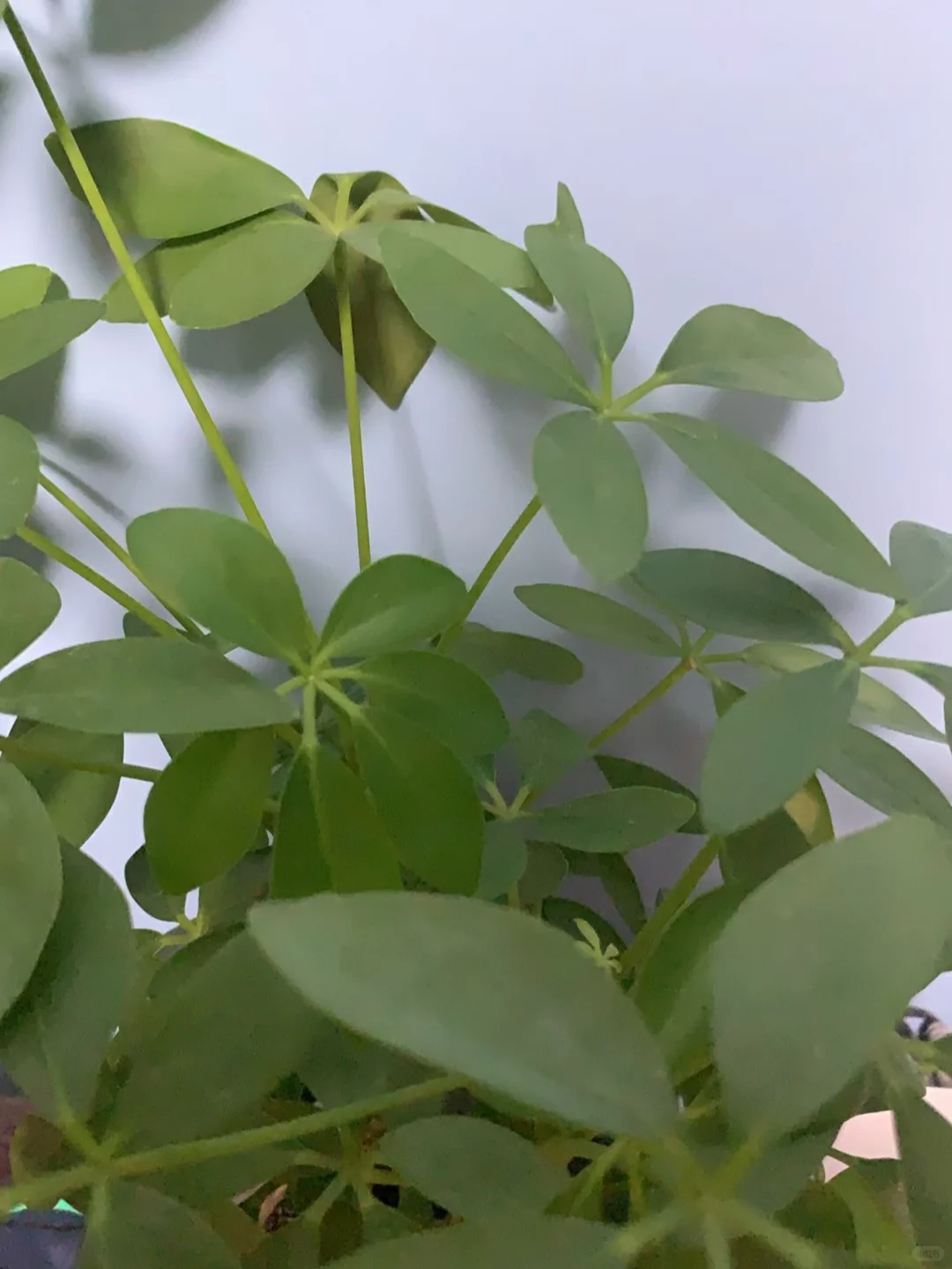 86年39岁，岁月的馈赠