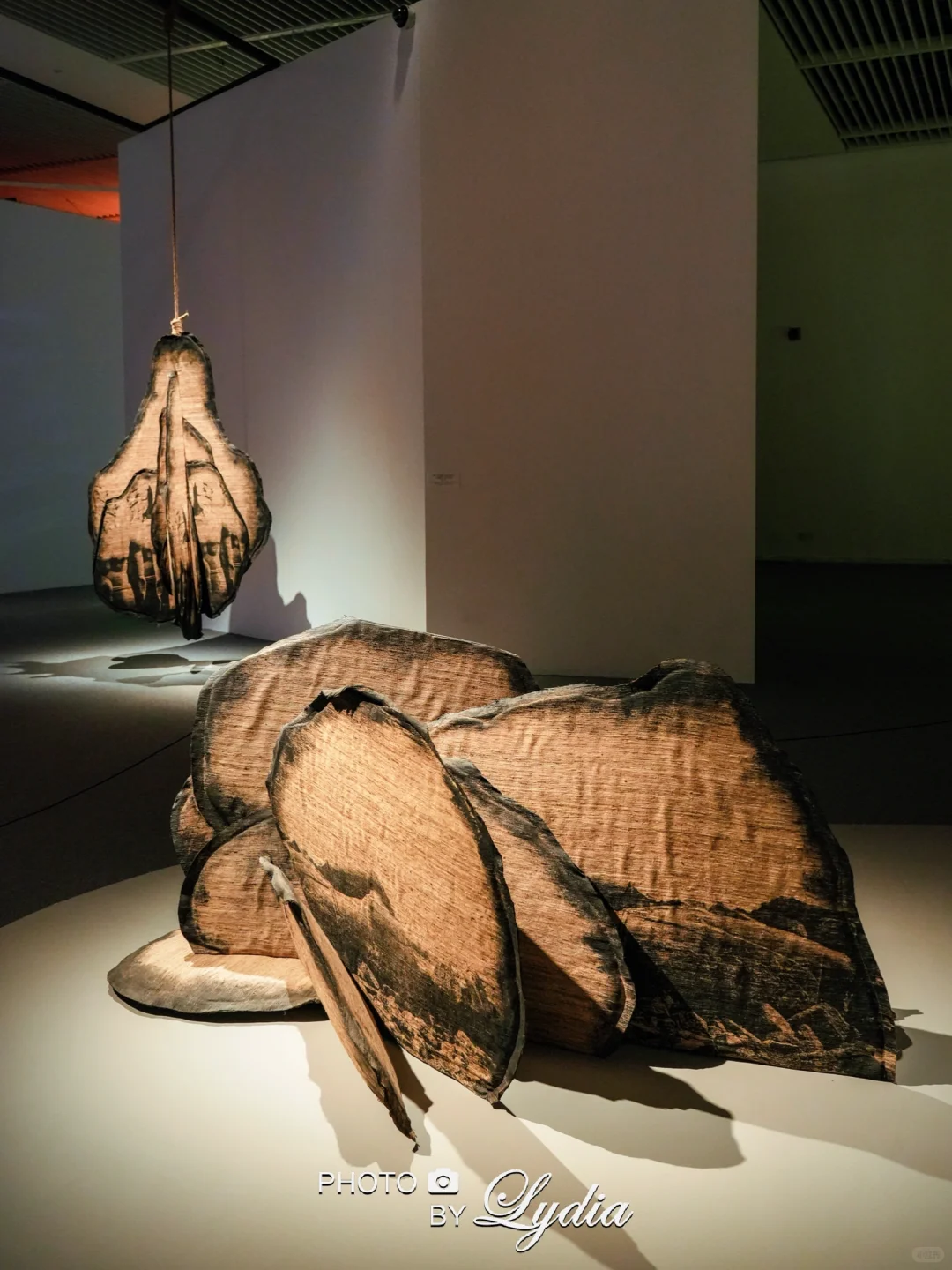 国博超美的当代艺术展，你不来看看么❤️