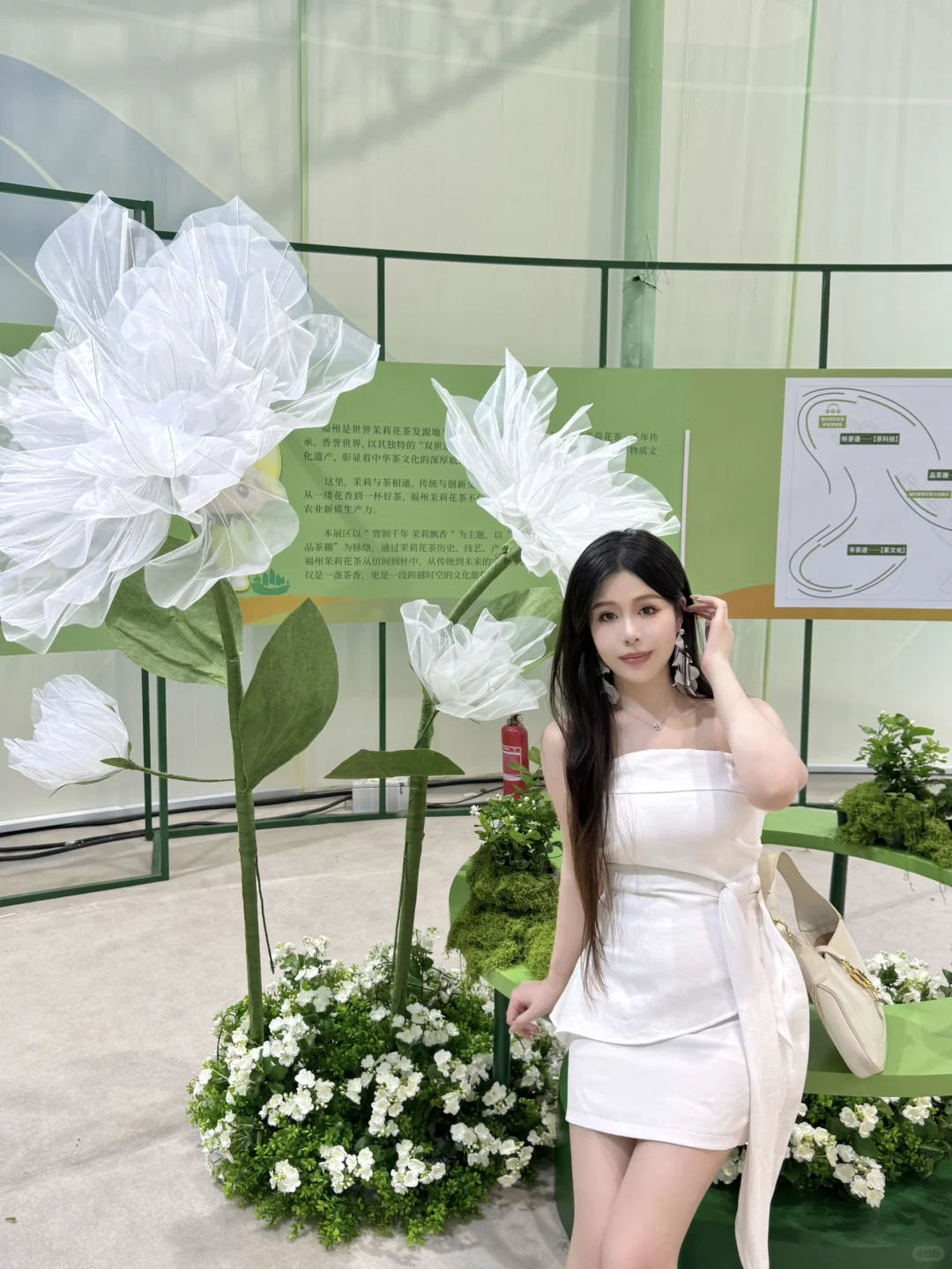 一缕茉莉香，半城福州韵?
