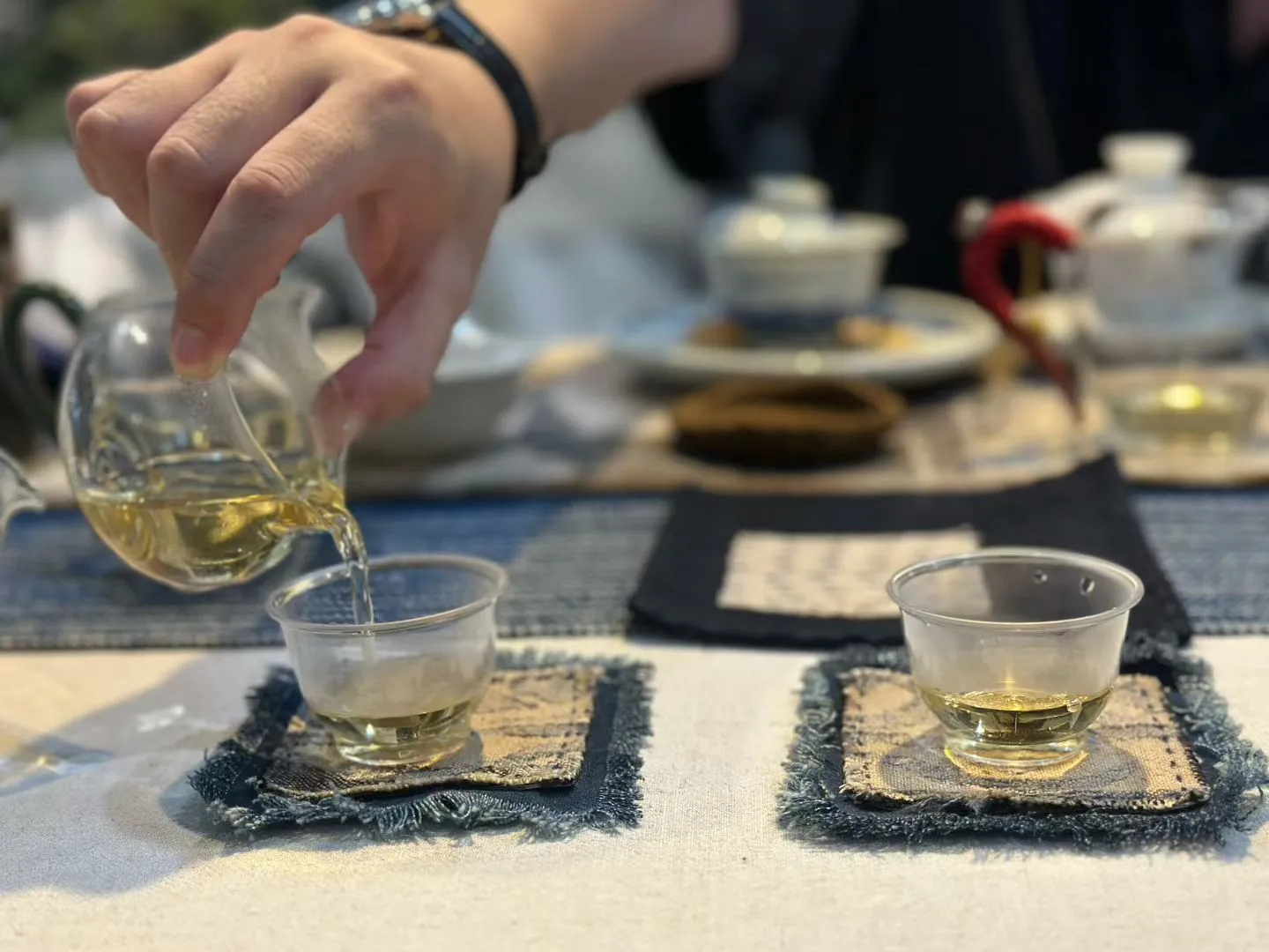 福州茶博会千万不要错过我们家的好白茶