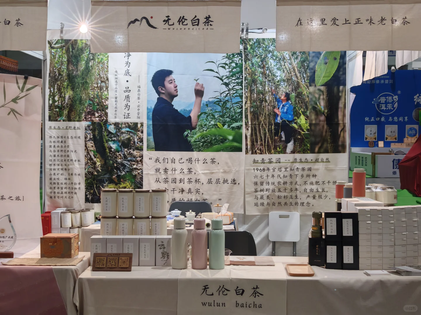 福州茶博会千万不要错过我们家的好白茶