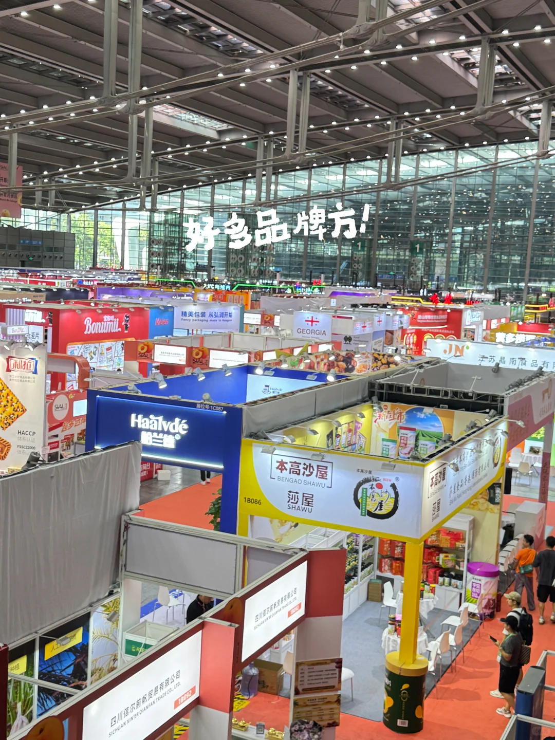 食品展不是用来吃的！是来“谈”的！BD工作plog