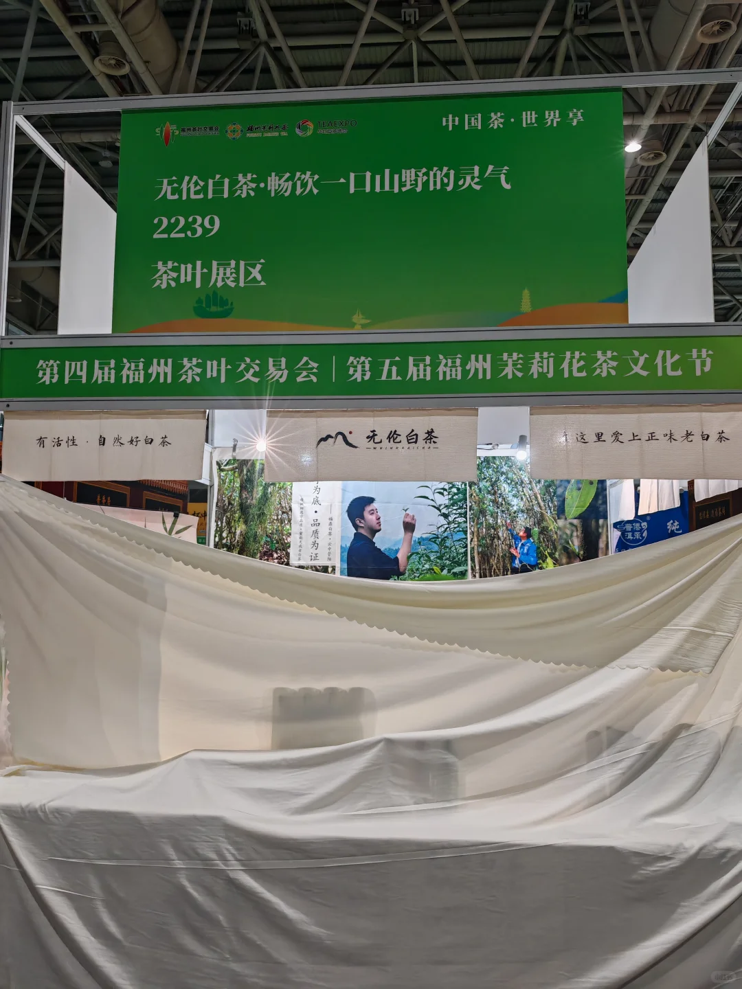 福州茶博会千万不要错过我们家的好白茶