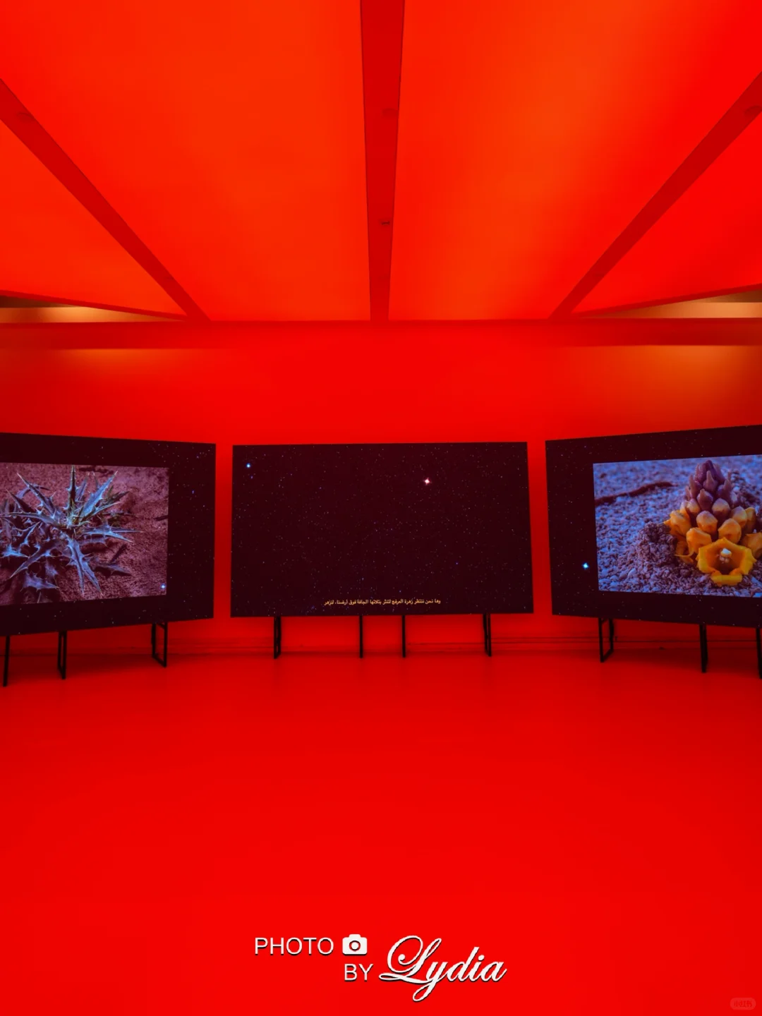 国博超美的当代艺术展，你不来看看么❤️