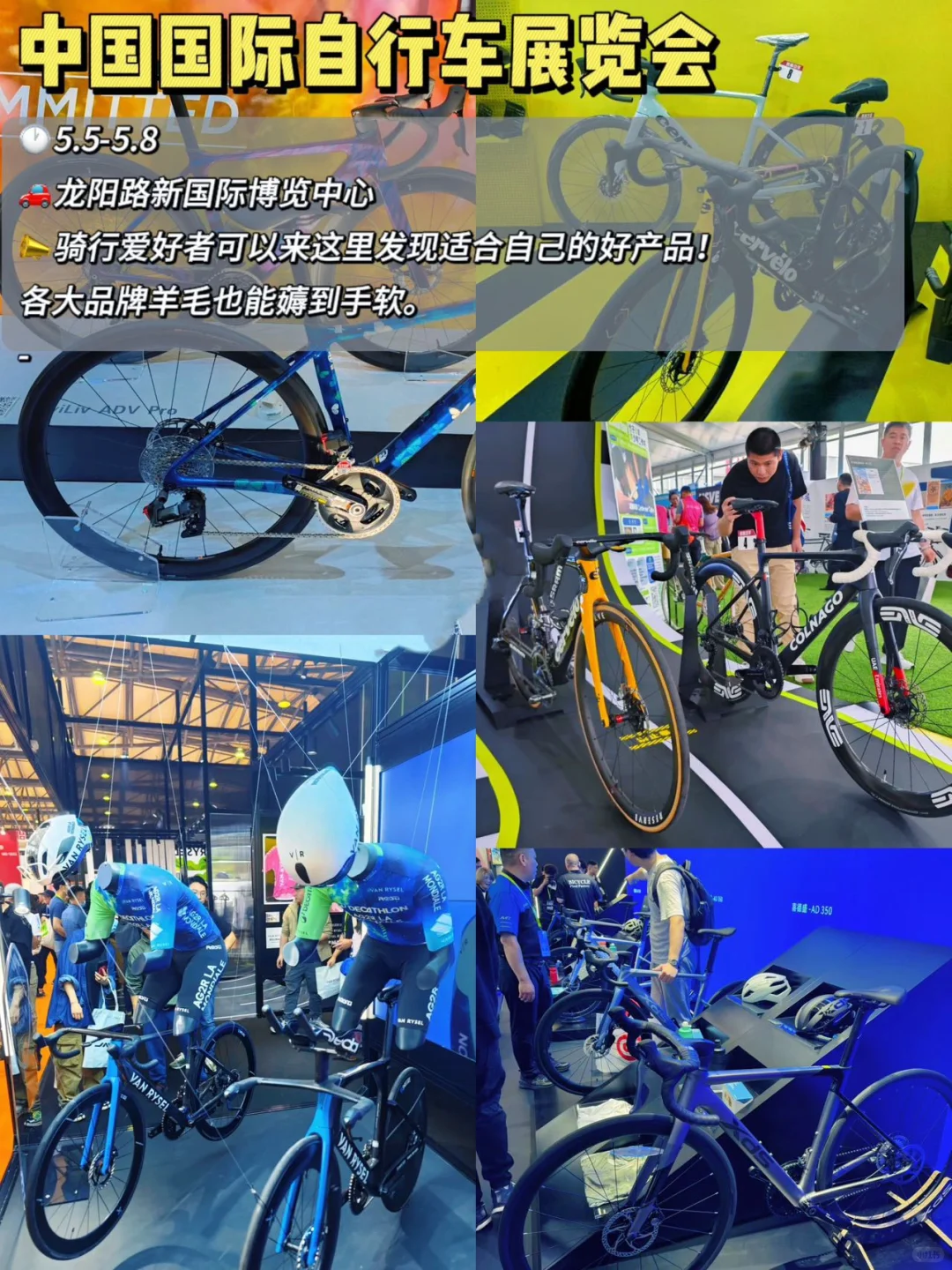 上海五月展会合集?有这一篇就够啦