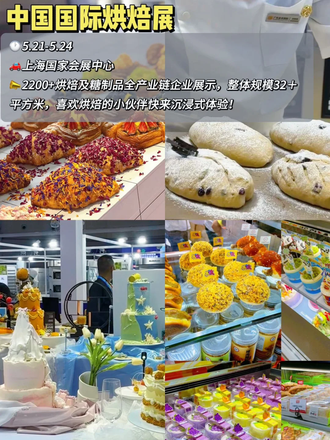上海五月展会合集?有这一篇就够啦