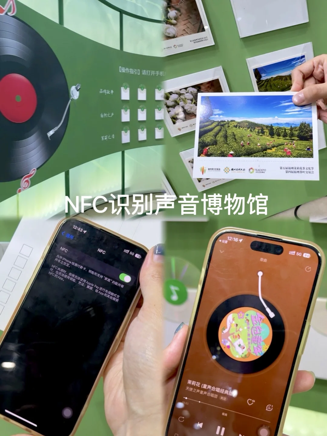 福州！这里开始放大招啦！！??