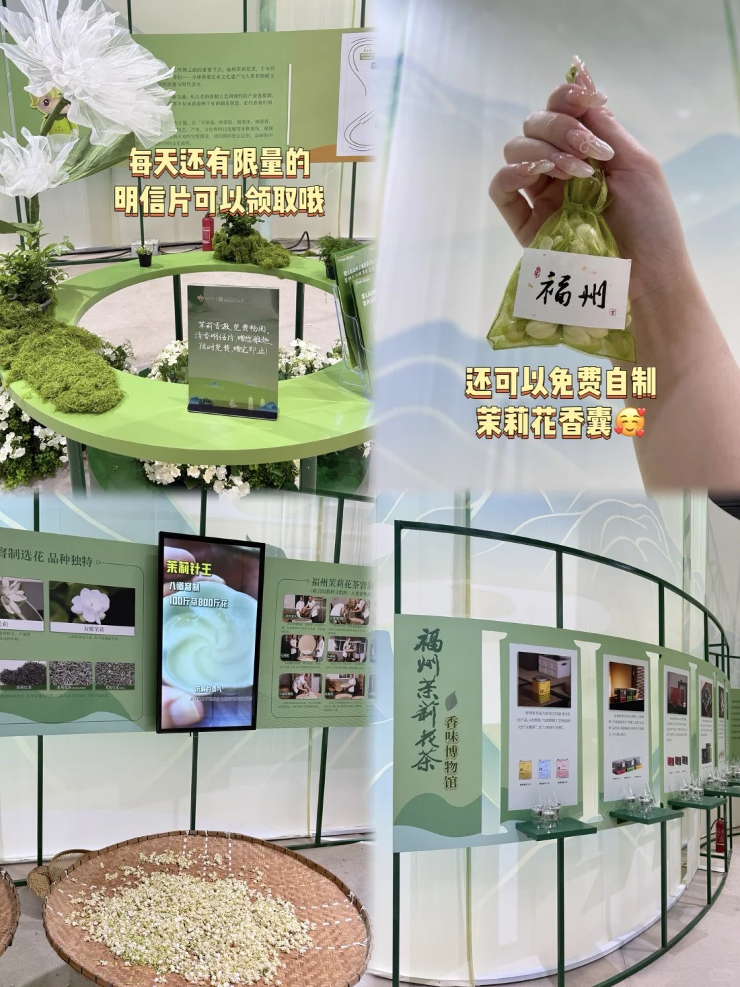 一缕茉莉香，半城福州韵?