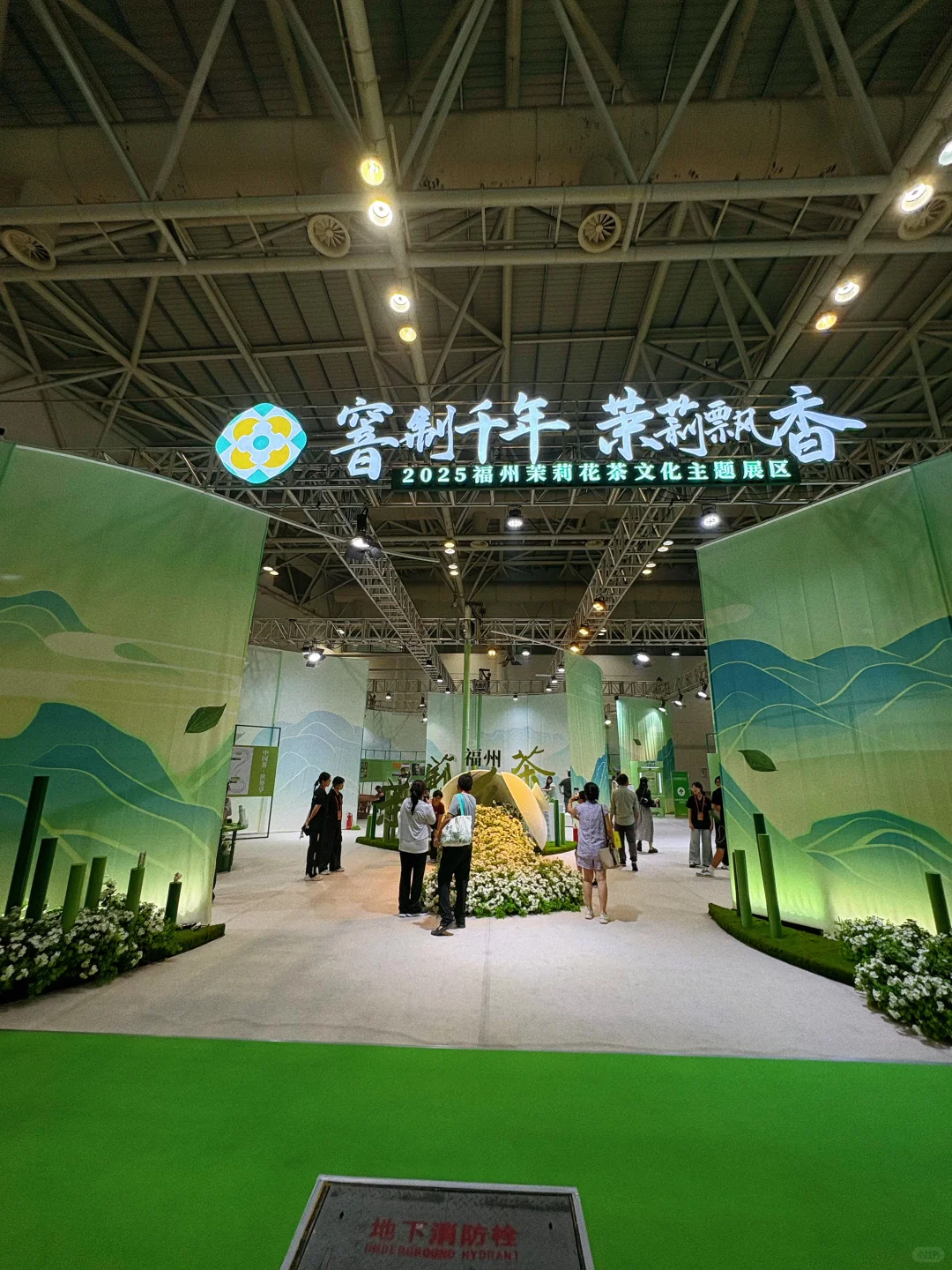 福州这波茶展也太好玩了吧！！！