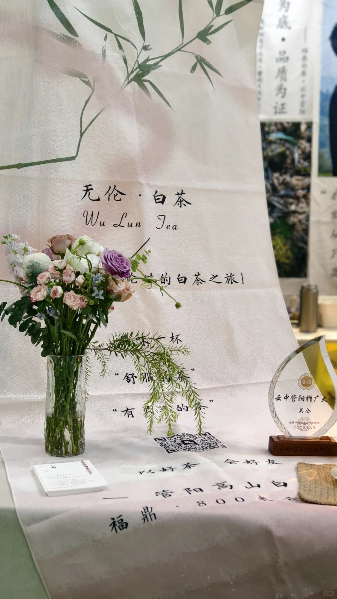福州茶博会千万不要错过我们家的好白茶