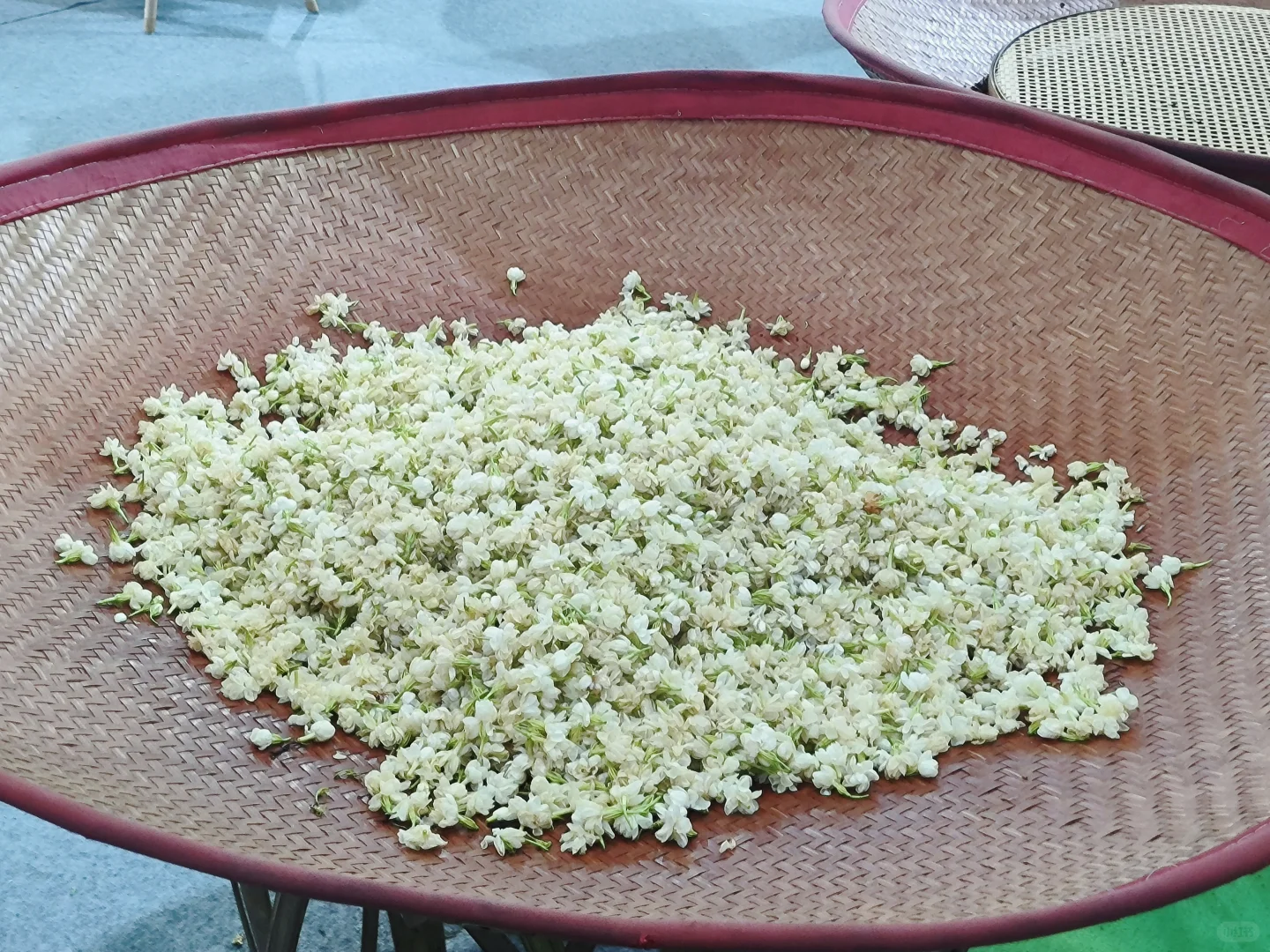 这周末去茶交会吃冰淇淋啦！