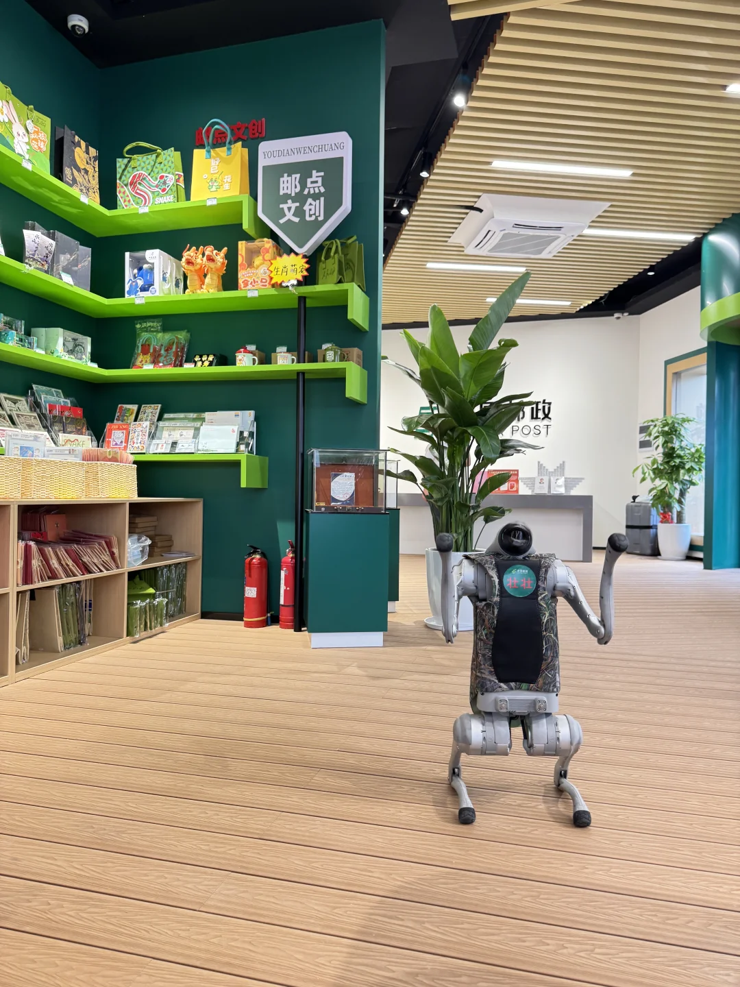 南宁邮政咖啡会展新店！东盟博览会超火打卡！
