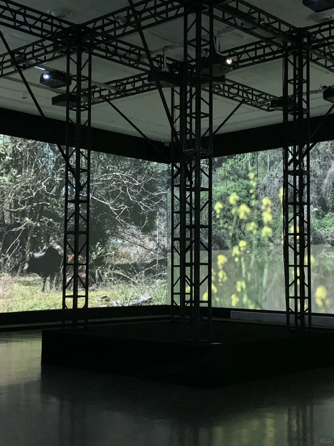 杭州新展｜三展连看⛰️这策展能力真的好震撼