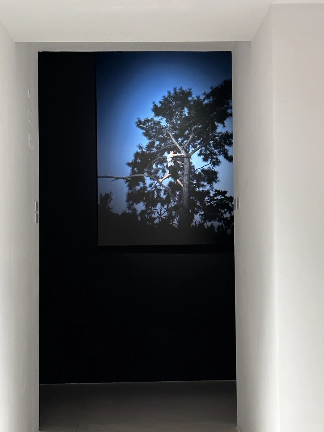 上海外滩 | 近期坠值得看的2个新展?