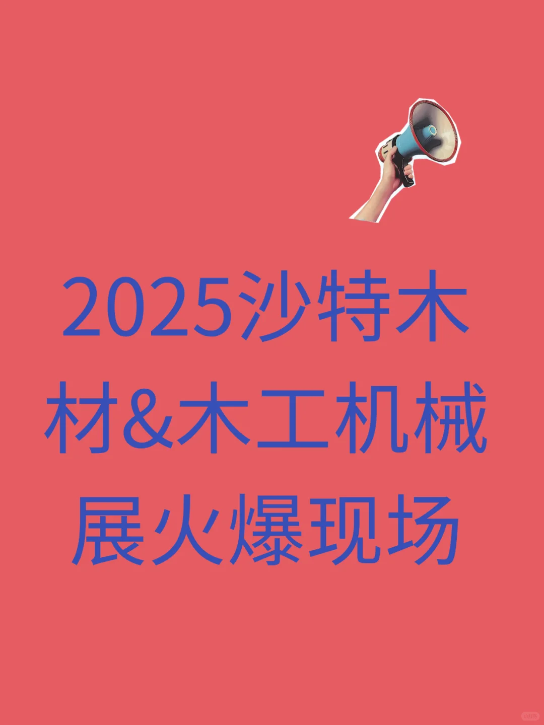 2025沙特木材&木工机械展现场火爆场面