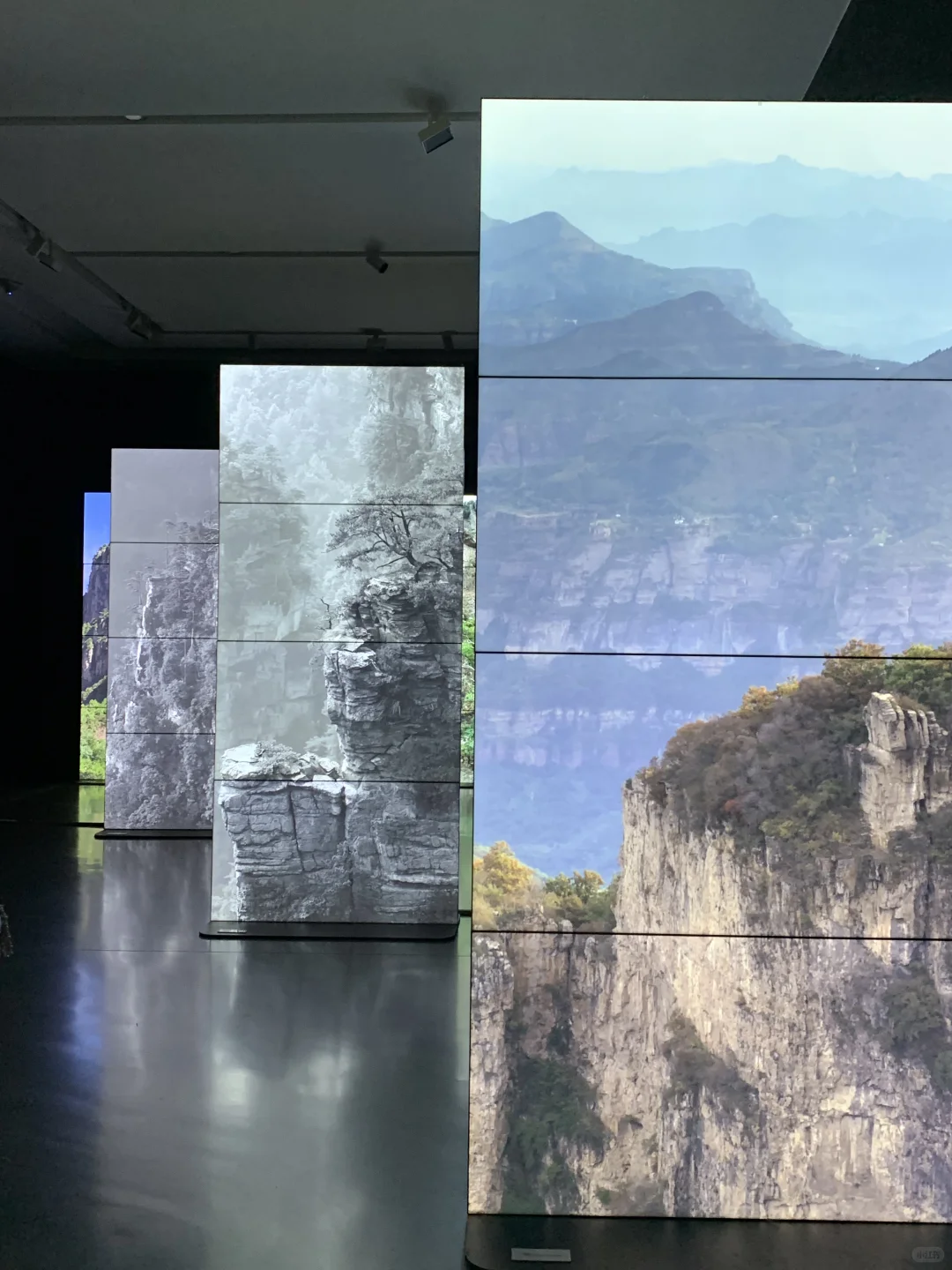 杭州新展｜三展连看⛰️这策展能力真的好震撼