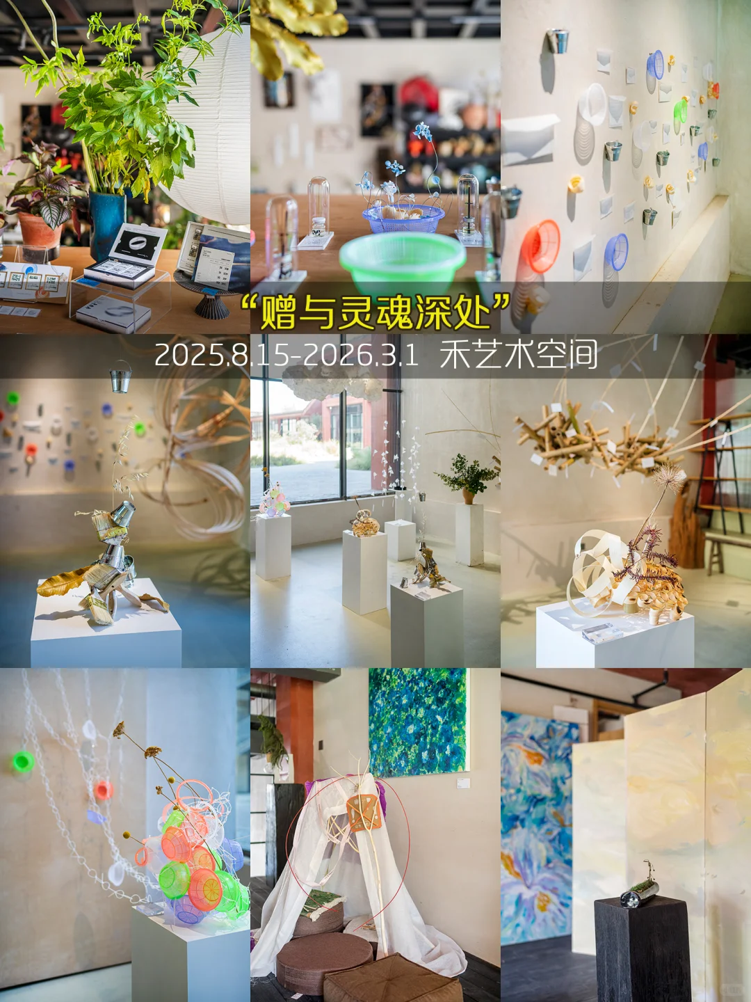 杭州9月99个免费展览❤️承包秋日文艺时光