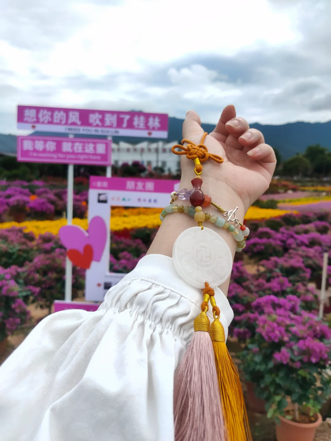 24年的花木展摆摊圆满结束