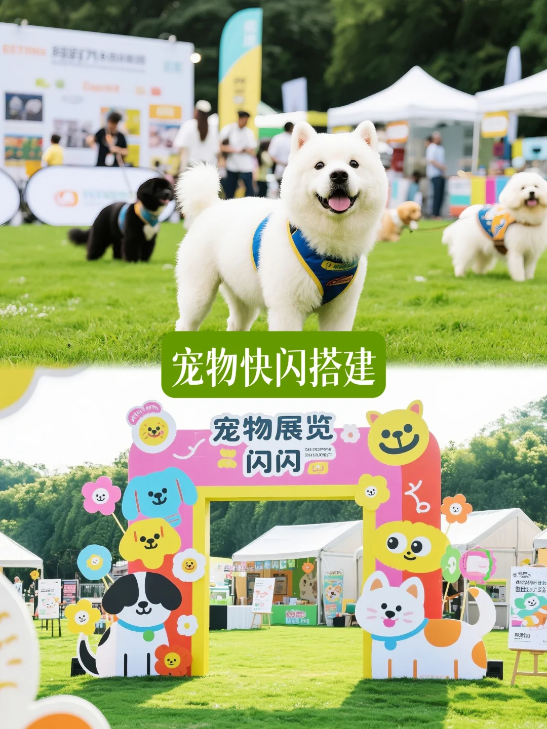 100套快闪搭建分享｜宠物快闪