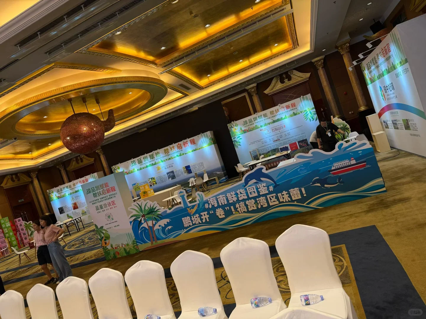 大湾区品牌推介会 落地